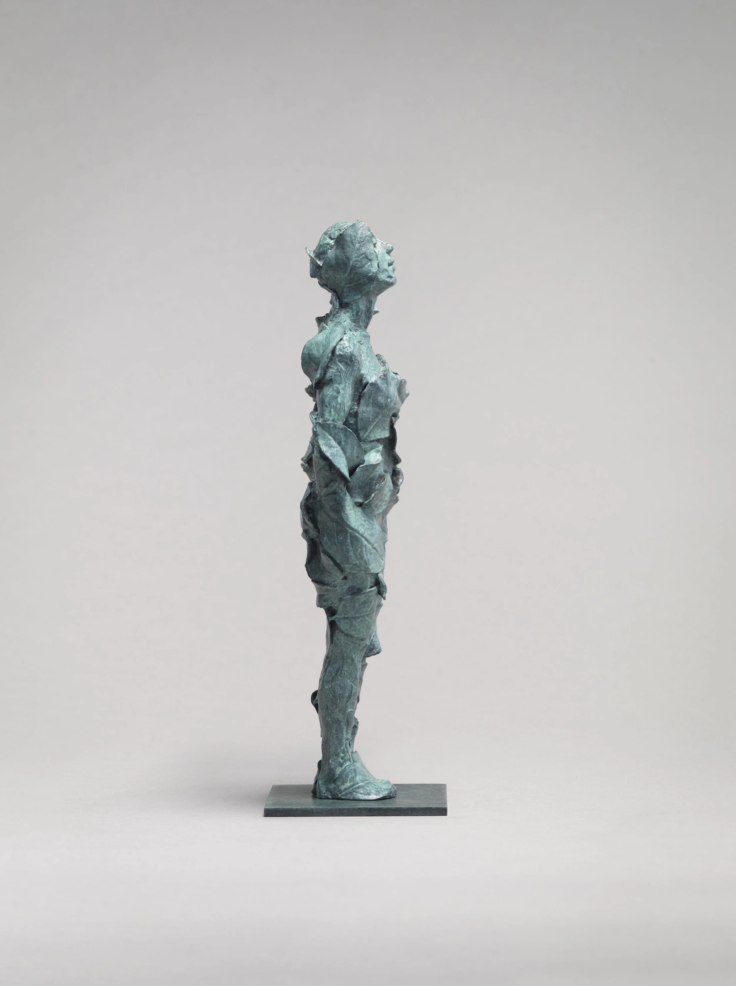 AG 191224-00-53 (C,S2).jpg