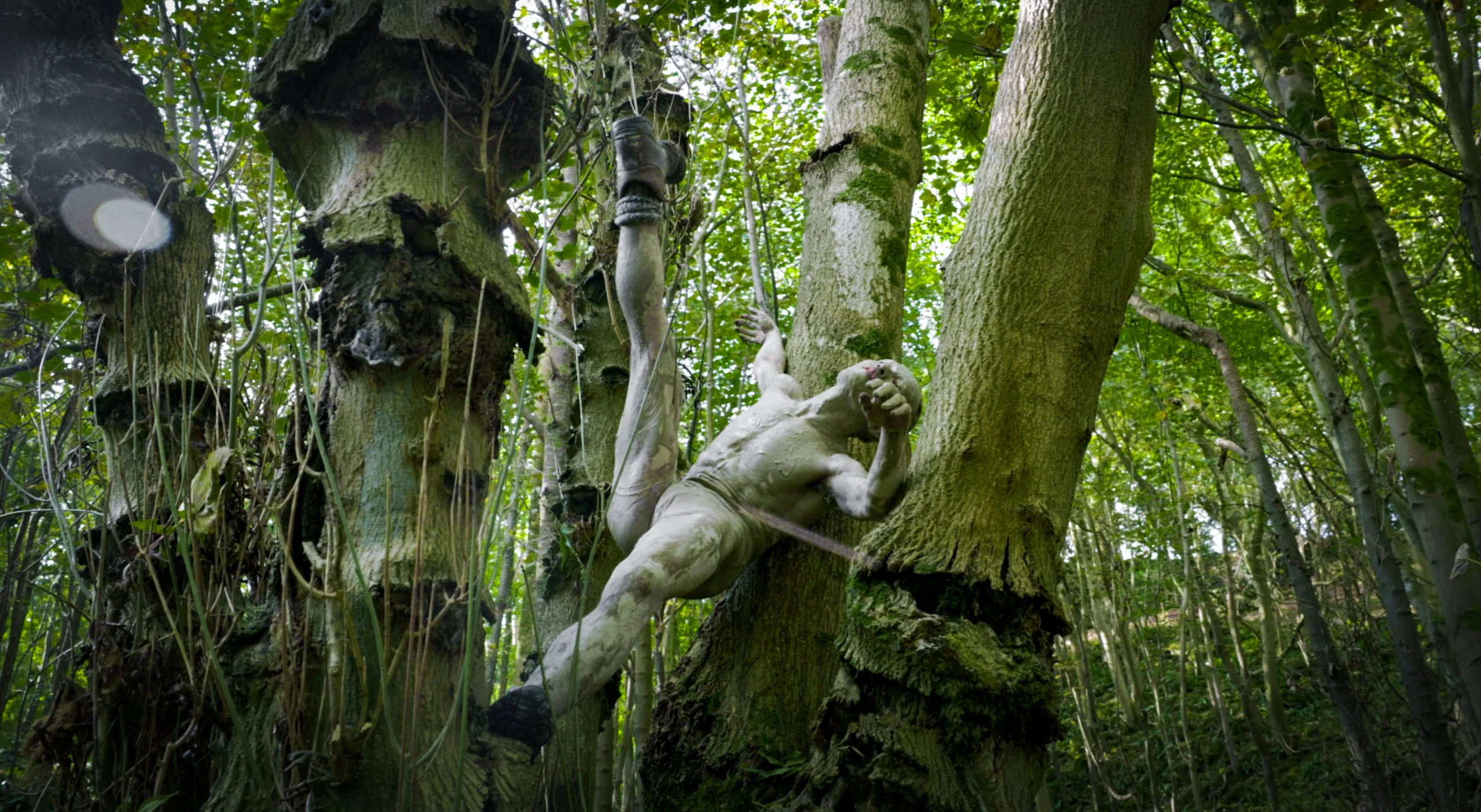 Screenshot 2022-01-29 at 11.54.55.jpg