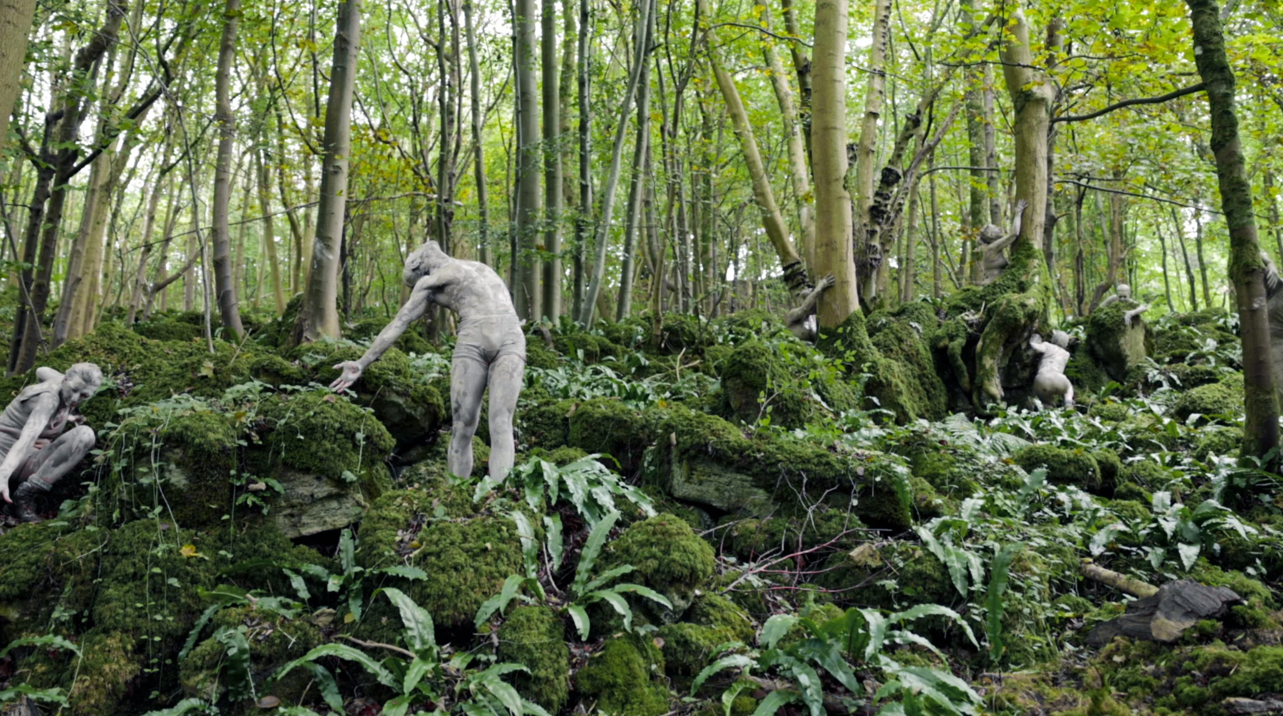 Screenshot 2022-01-29 at 11.54.20.jpg