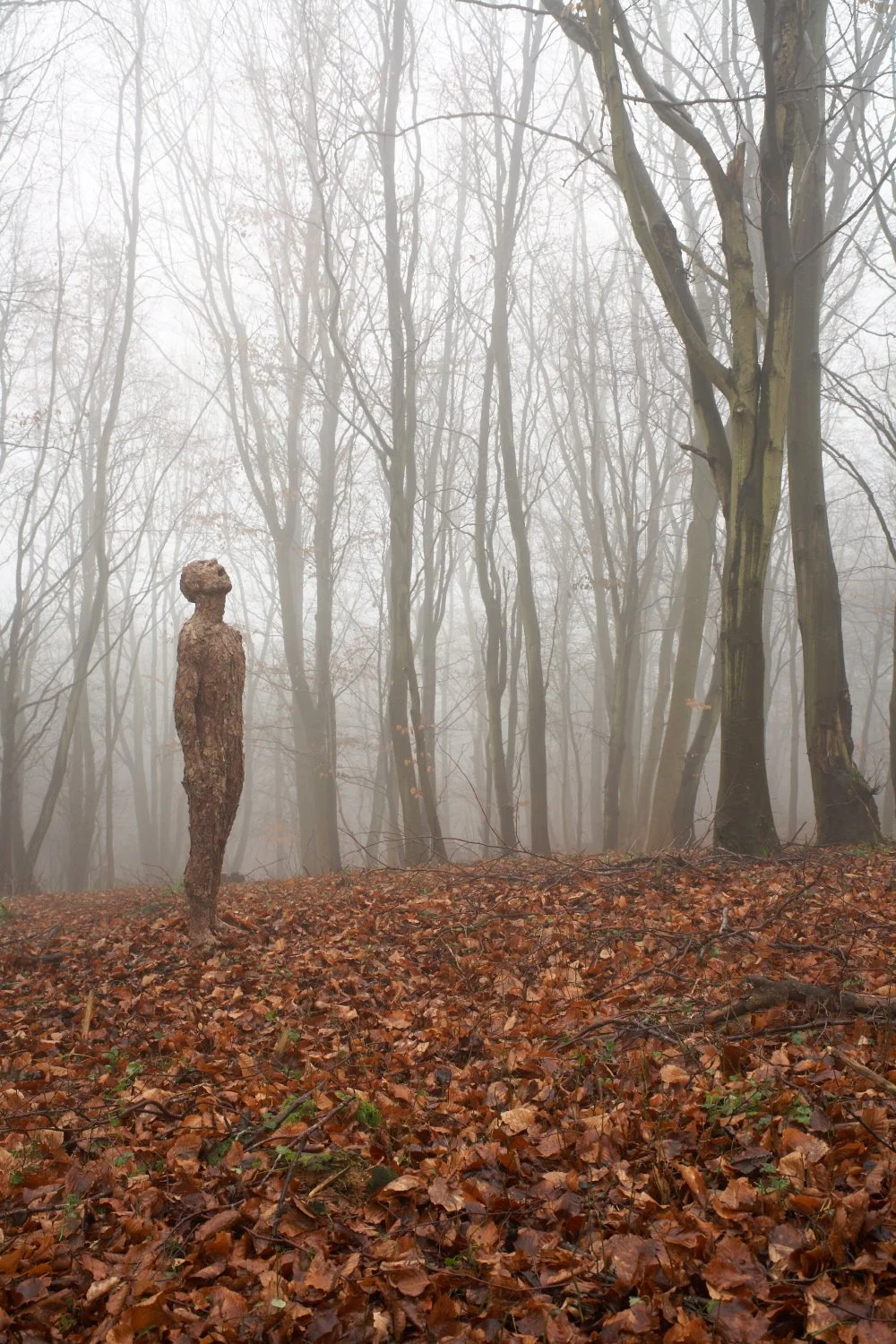 Taste The Rain (shot 4).jpg