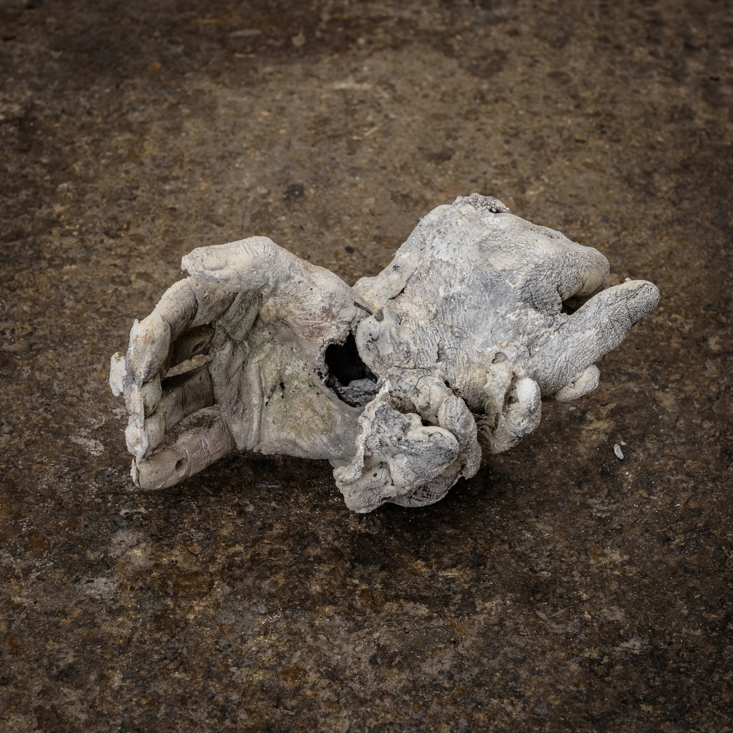 2025.08.14 A GILLESPIE-122.jpg