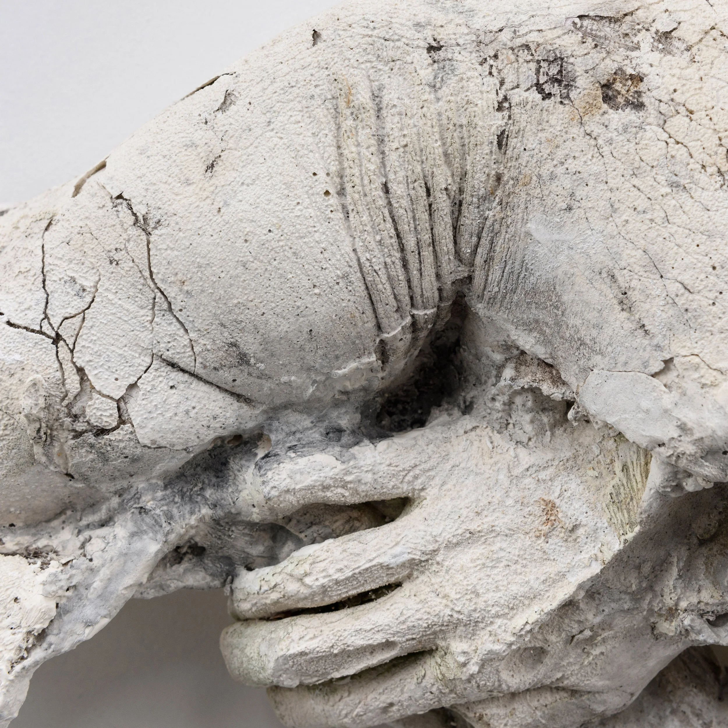 2025.08.14 A GILLESPIE-31.jpg