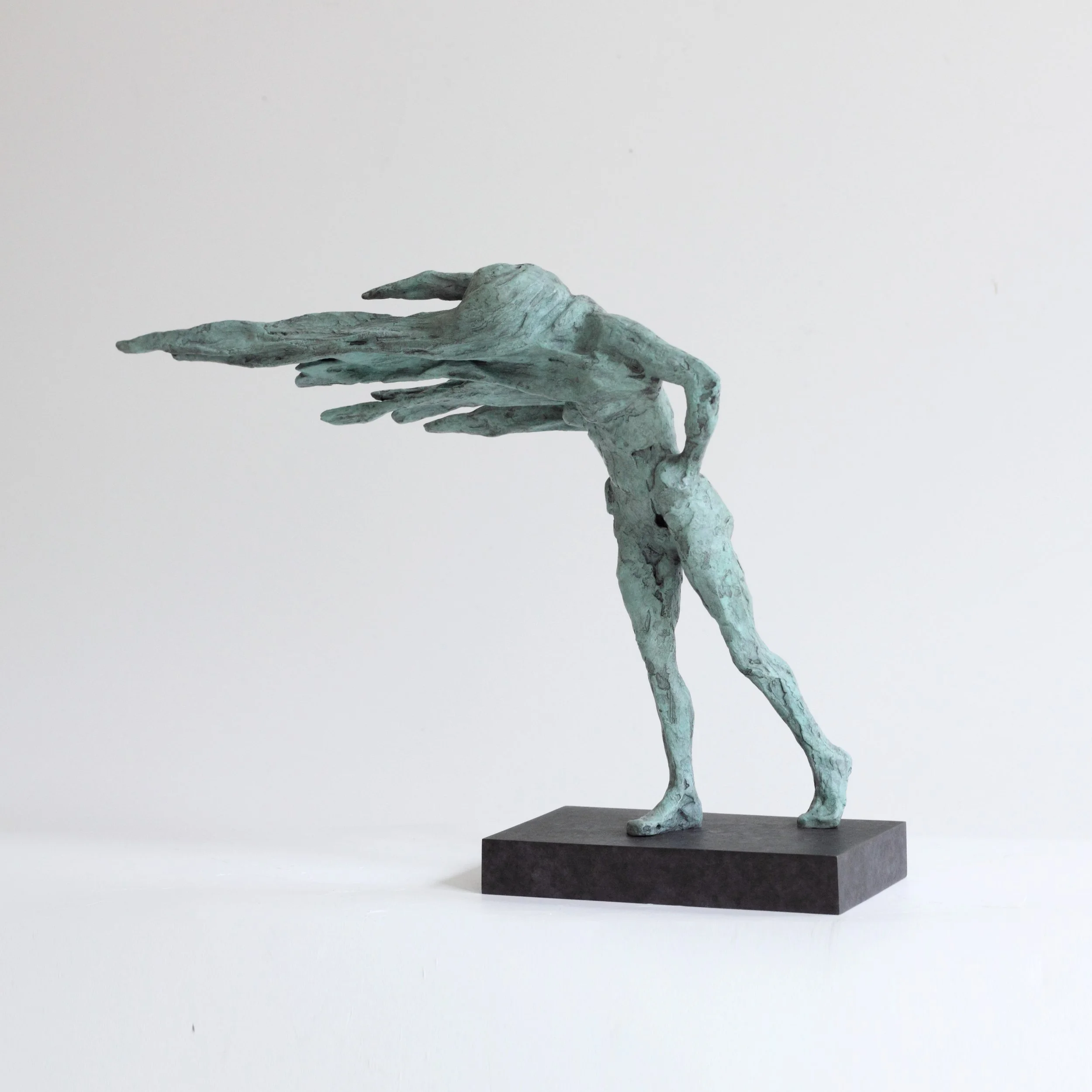 Who Knows Where The Time Goes