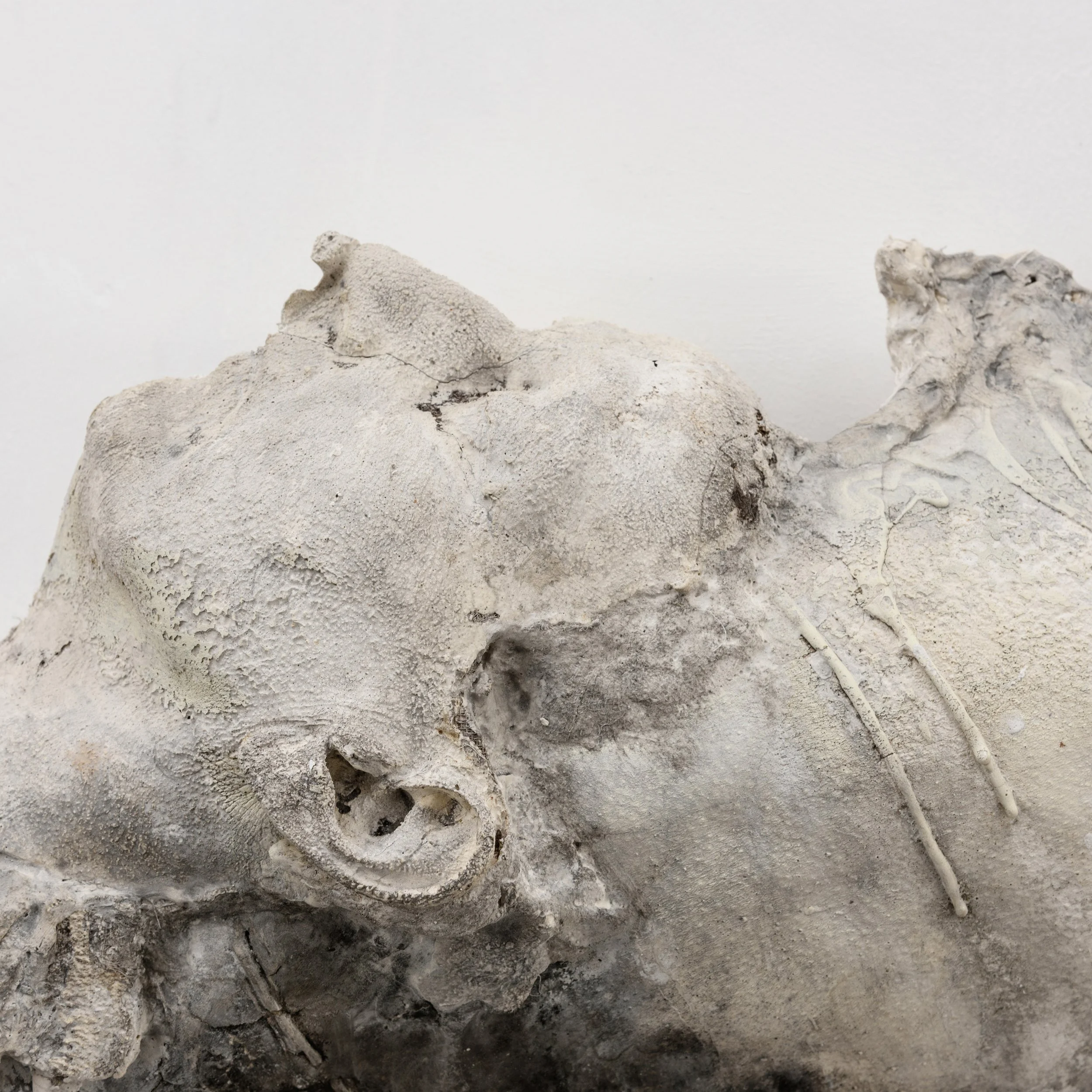 2025.08.14 A GILLESPIE-29.jpg