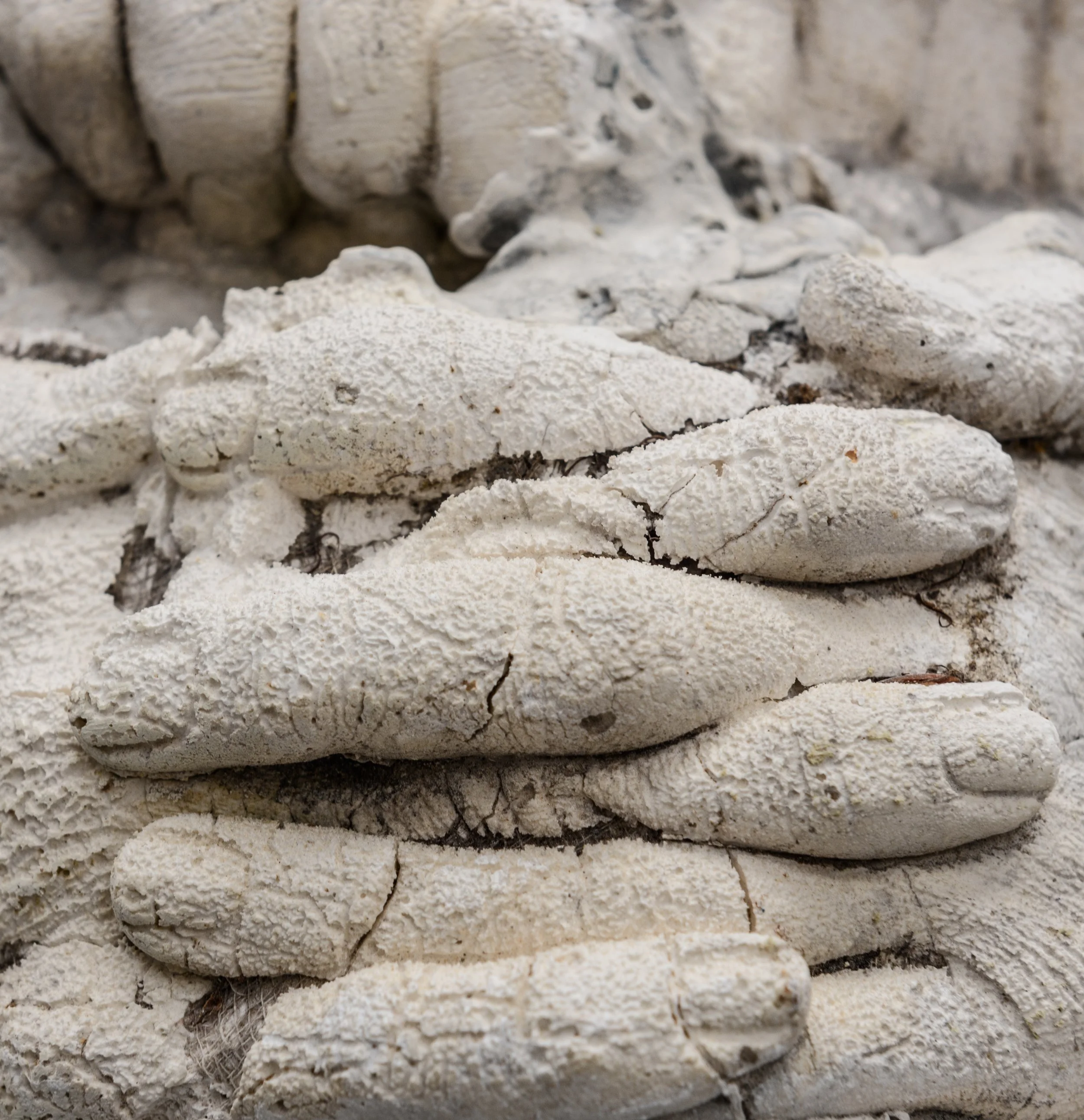 2025.08.14 A GILLESPIE-17.jpg