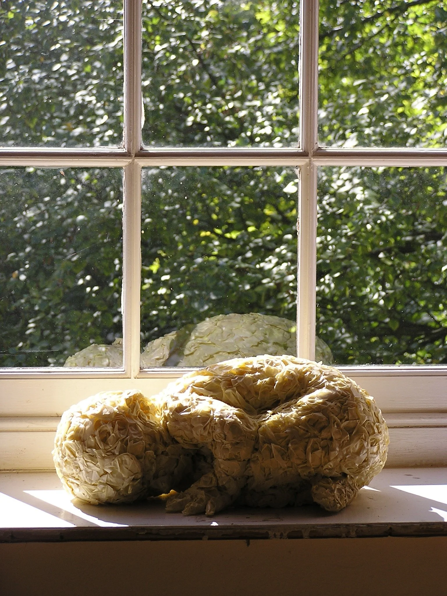 AS 05 005 At Rest.jpg