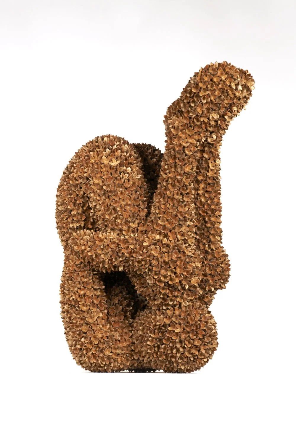 Beech Nut Falling shot4.jpg