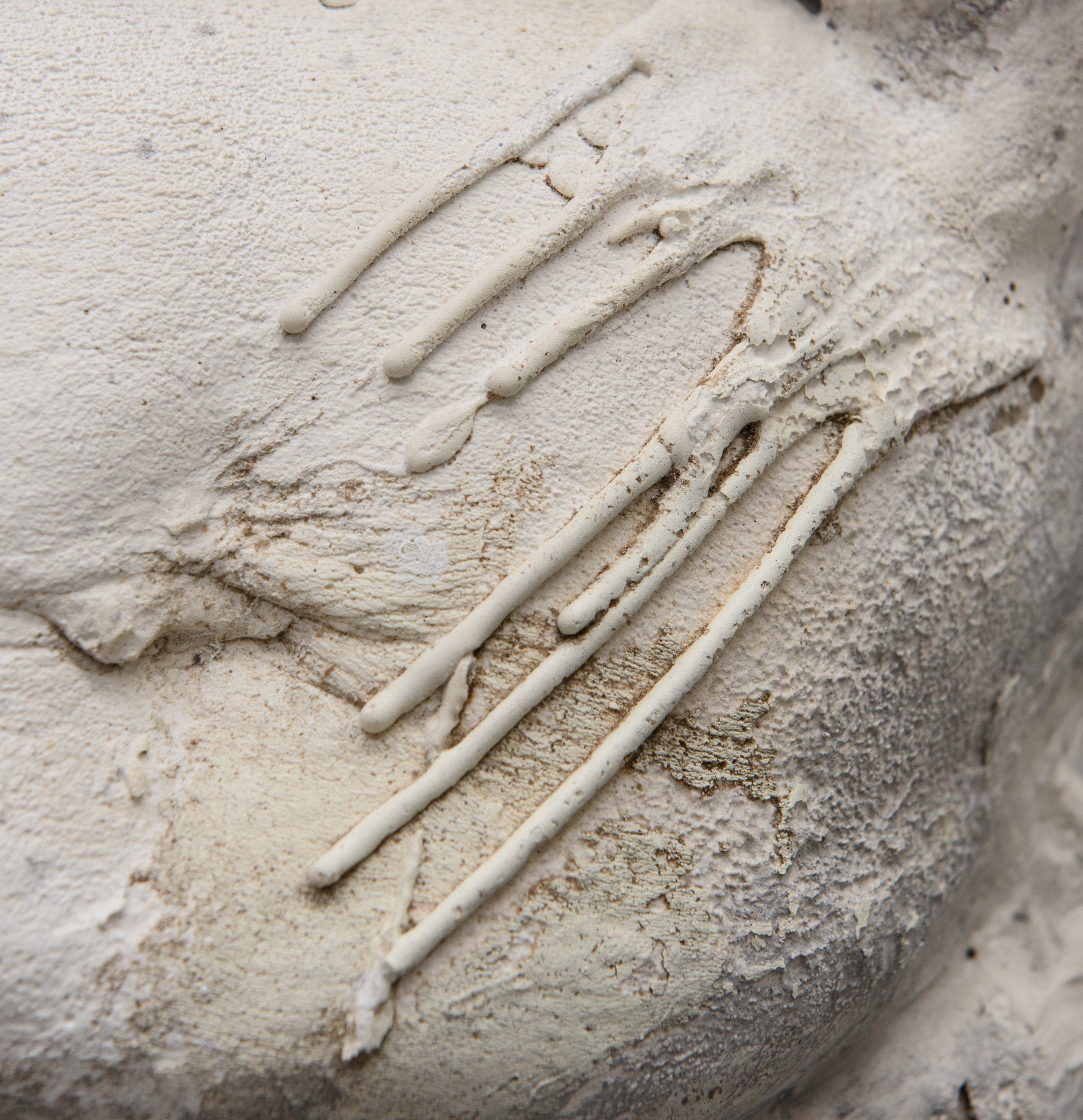 2025.08.14 A GILLESPIE-16.jpg