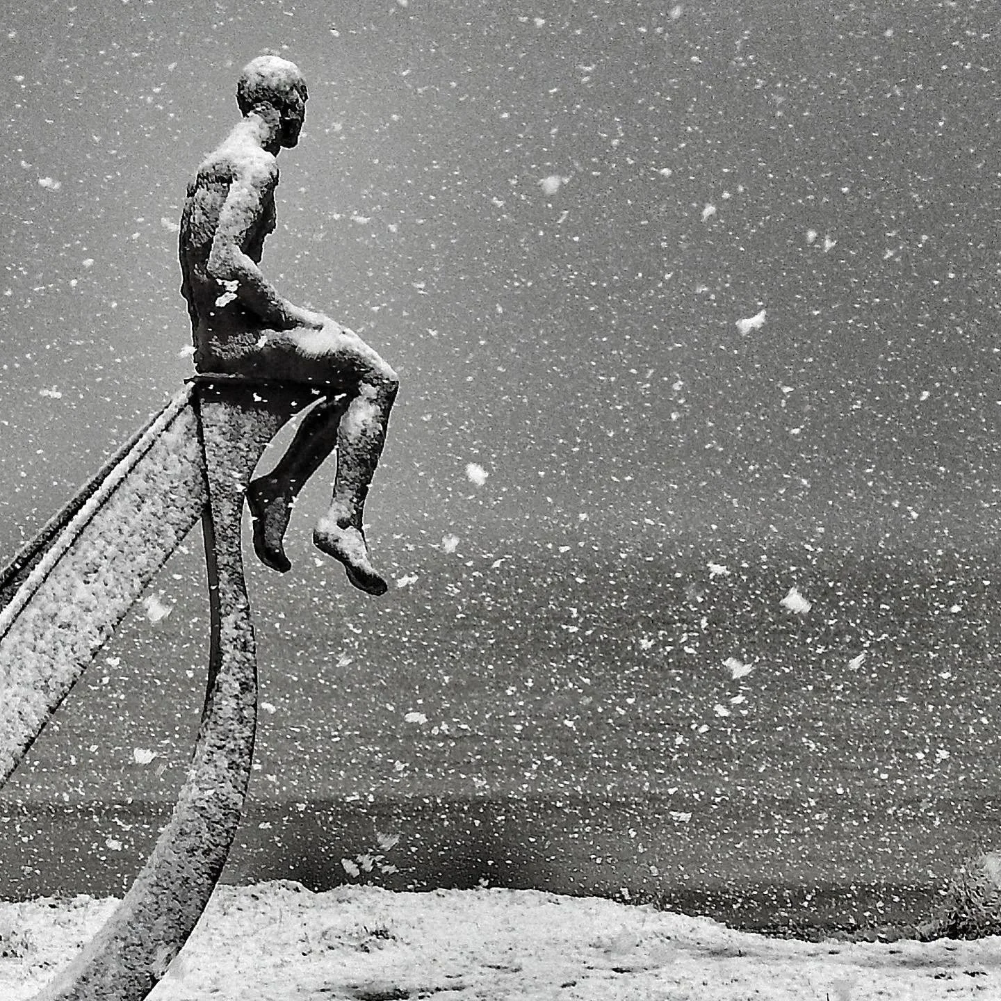 SHIP - Morecambe Bay