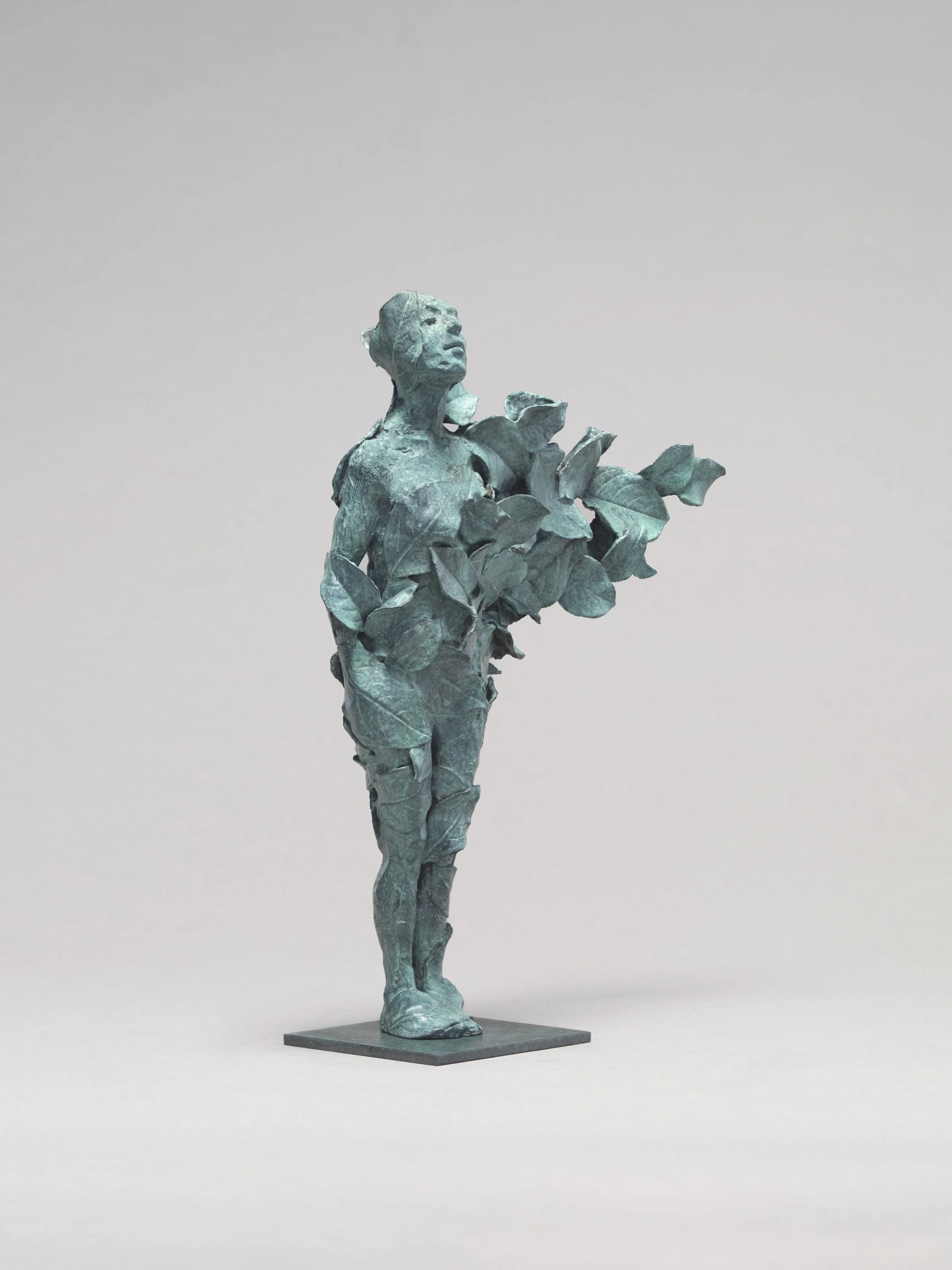 AG 191224-00-17 (C,S2).jpg