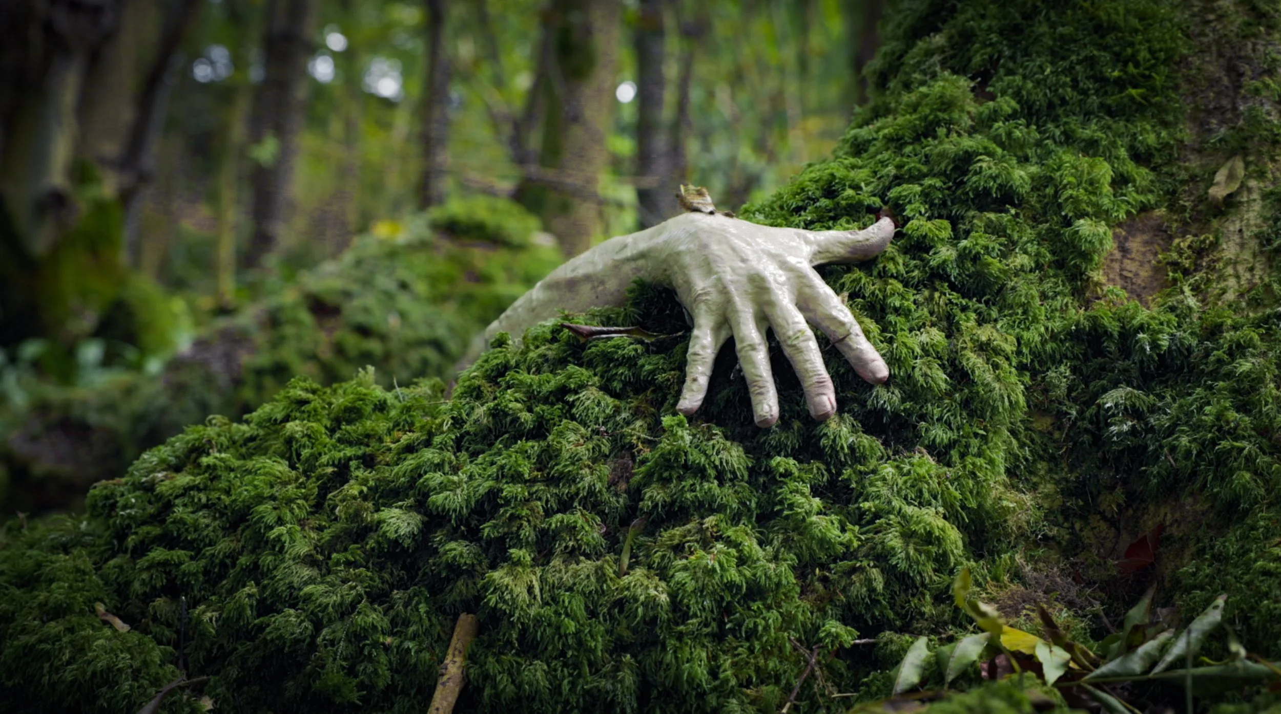 Screenshot 2022-01-29 at 11.54.31.jpg