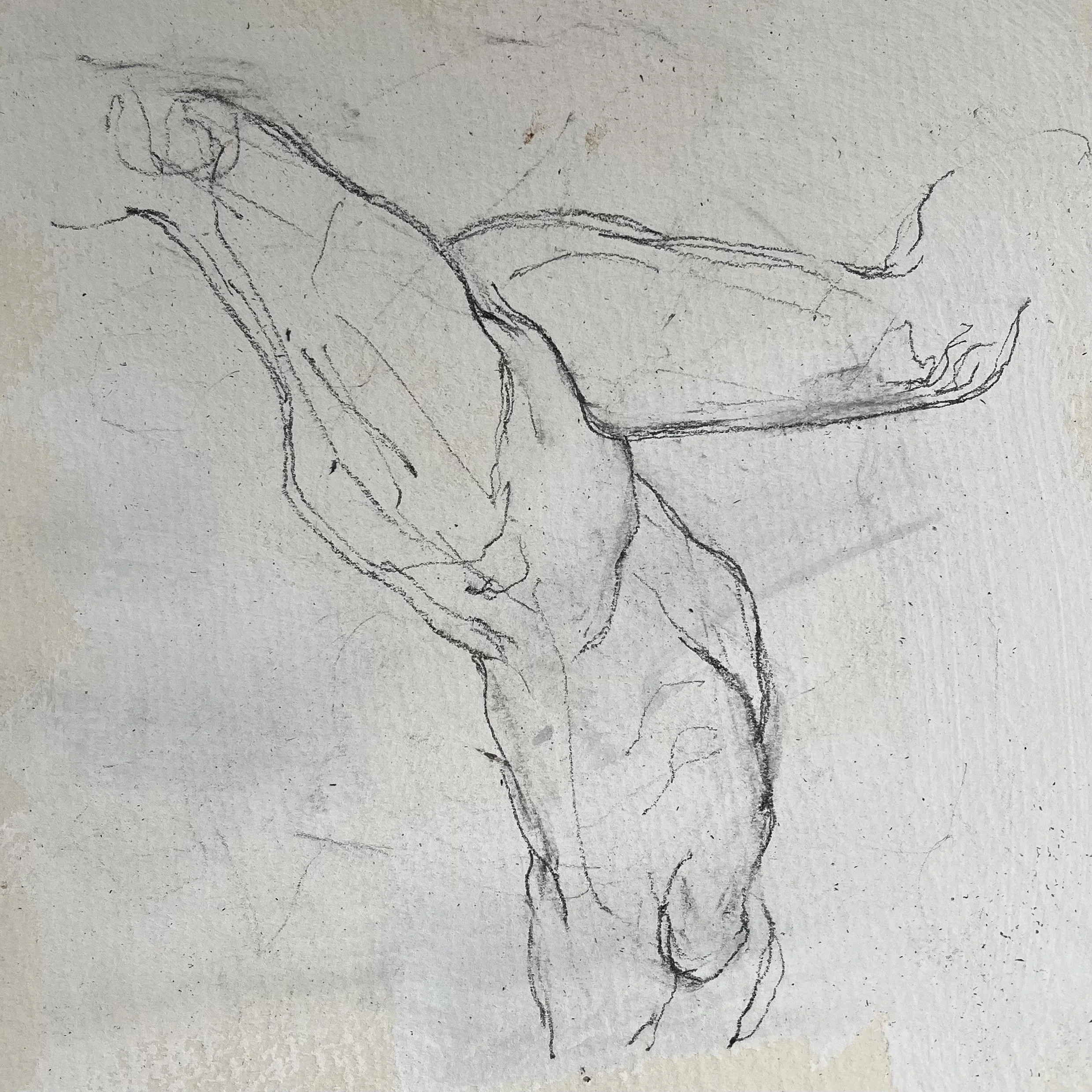 Life Drawing #005