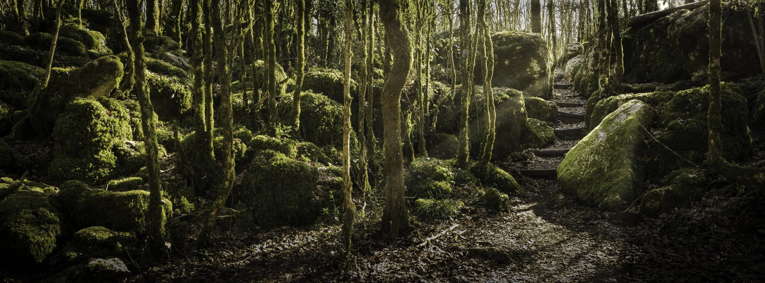 Le passage : entre ombre et lumière, le chemin s’élève dans le silence.
