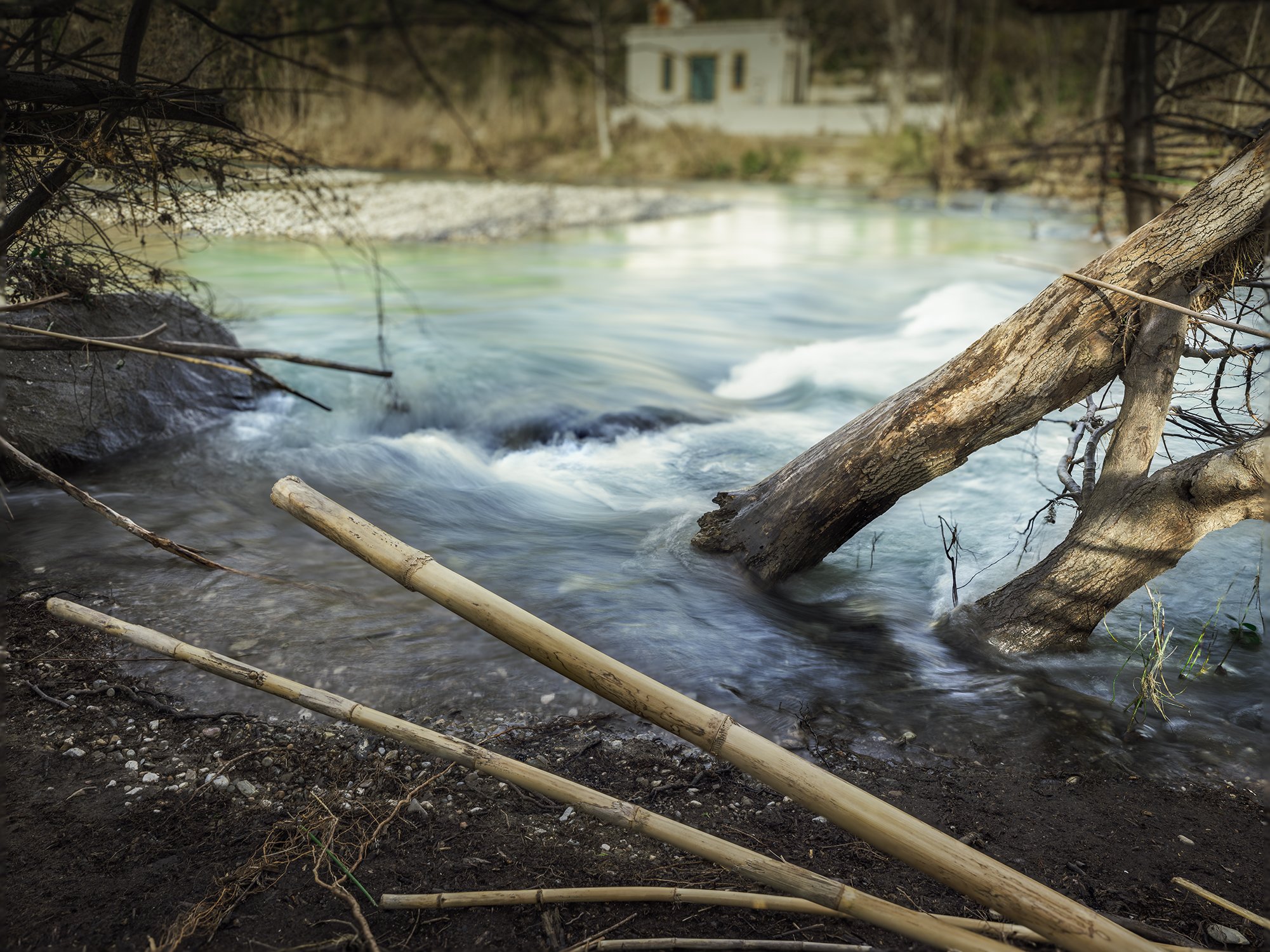 Racines mises à nu — Hiver 2026. Une série qui explore l’ancrage lorsque le sol se retire.
Les racines apparaissent, exposées, parfois fragiles, mais toujours actives.
Quand la terre se dérobe, la structure demeure. Ici, l’eau prolonge cette mise à n
