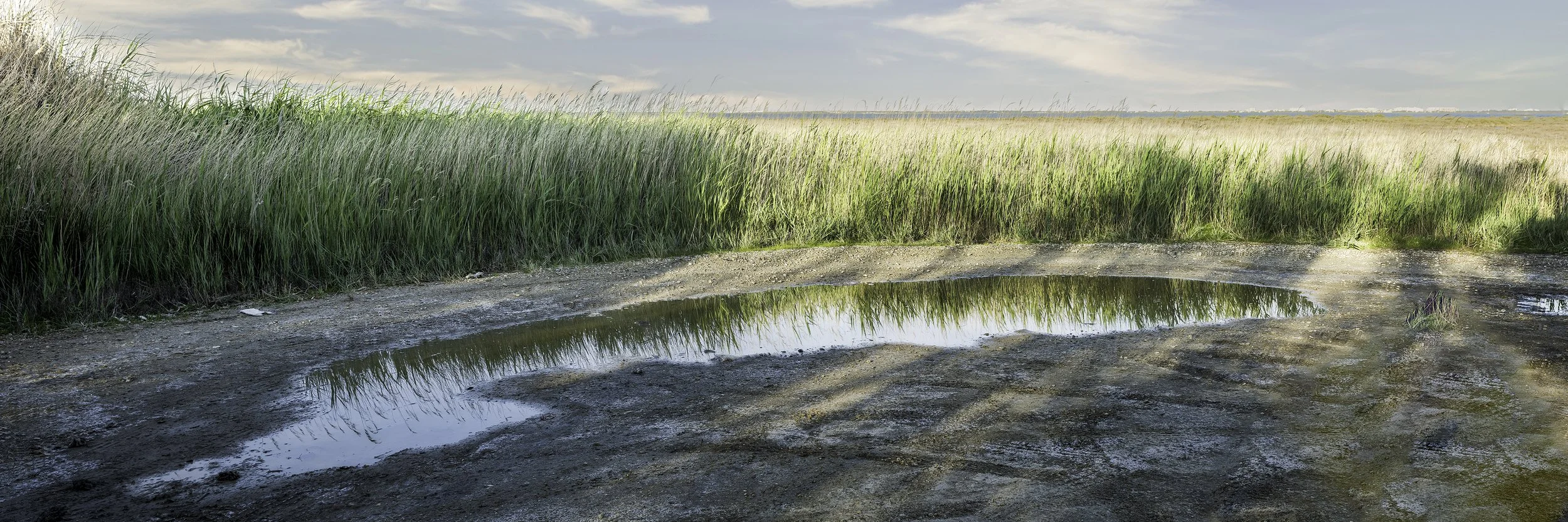 Vestiges du passage — Garrieux, printemps 2026. Trace éphémère. Une série qui explore les traces discrètes laissées par l’homme dans un paysage déjà repris par le silence. Structures abandonnées, matières usées et chemins effacés deviennent des fragm