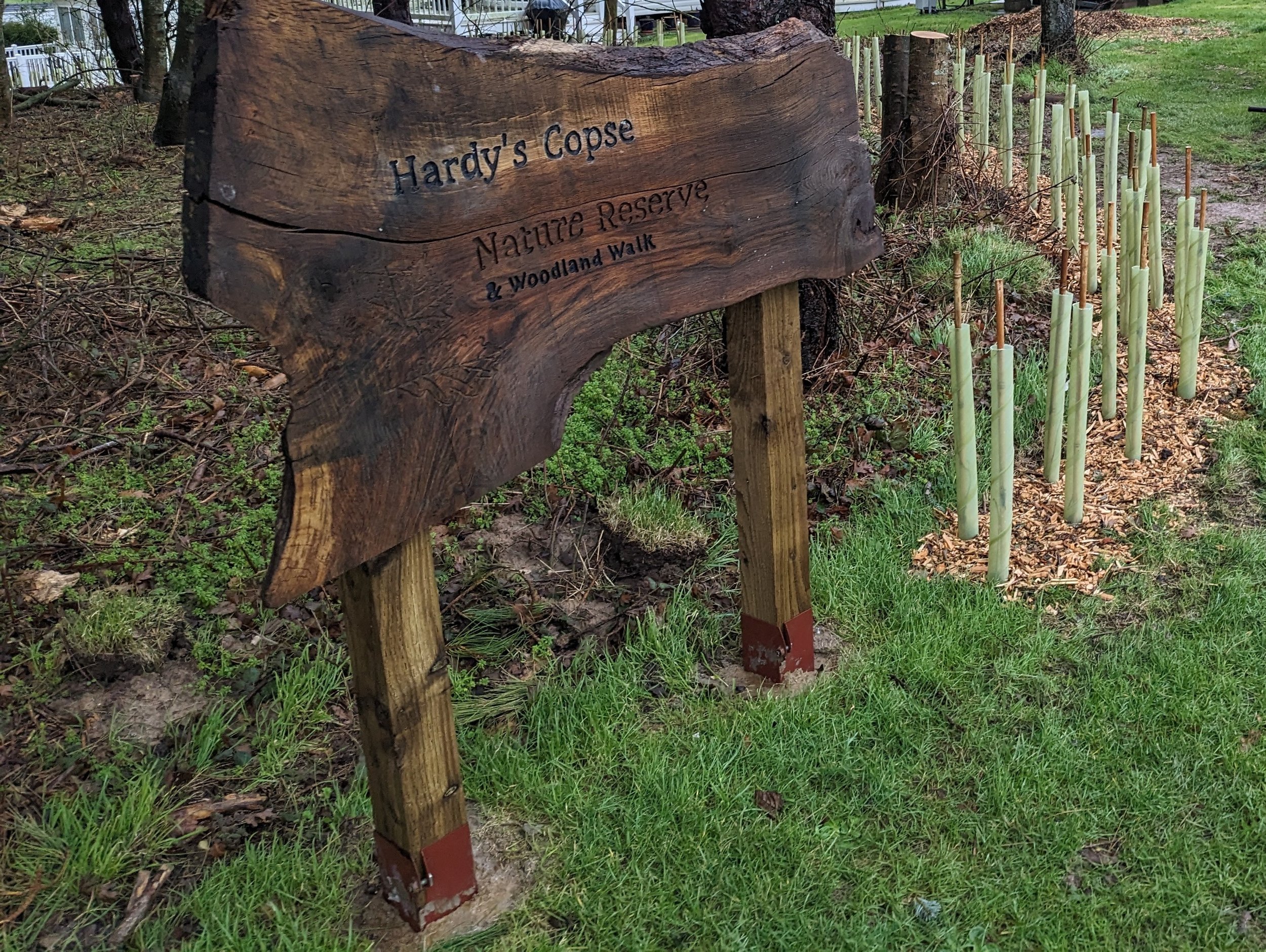 A wooden sign with engraved text that reads "Hardy's Copse Nature Reserve & Woodland Walk" is placed in a grassy area with a backdrop of leafless trees, fencing, and a pathway.