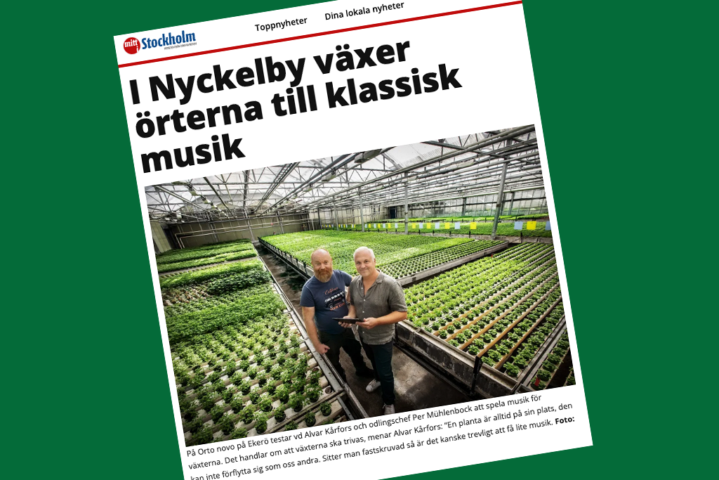 Kan musik ge basilikan större blad?