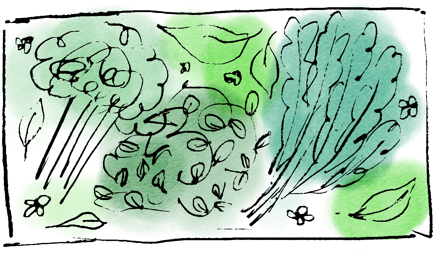 Vi planterar inte bara hos oss…