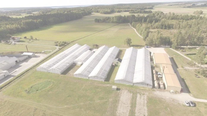 Flera växthusbyggnader på landsbygd med gröna fält och skog i bakgrunden.