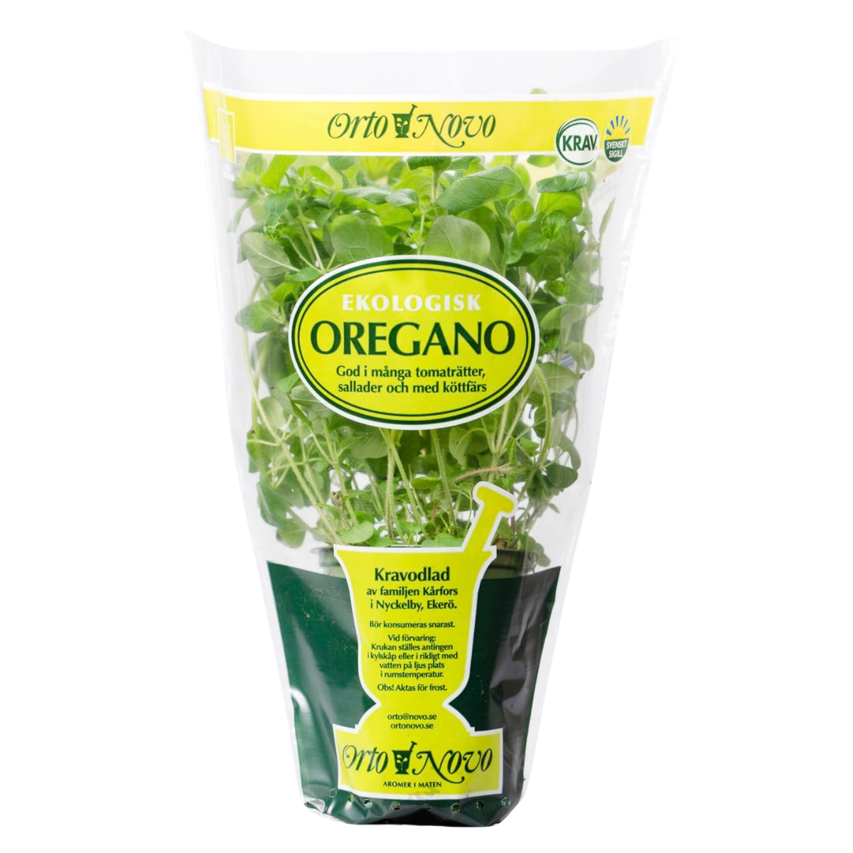 Oregano