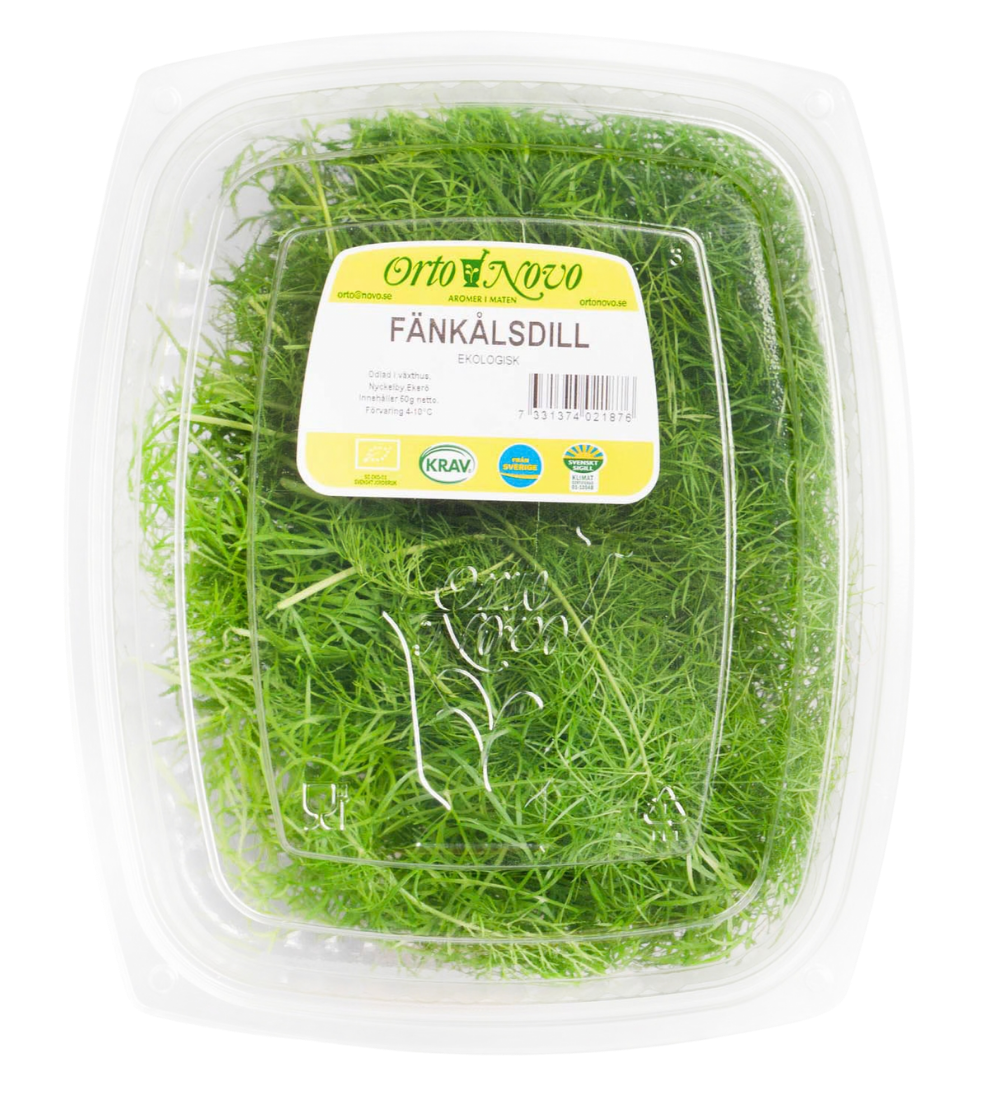 Fänkålsdill