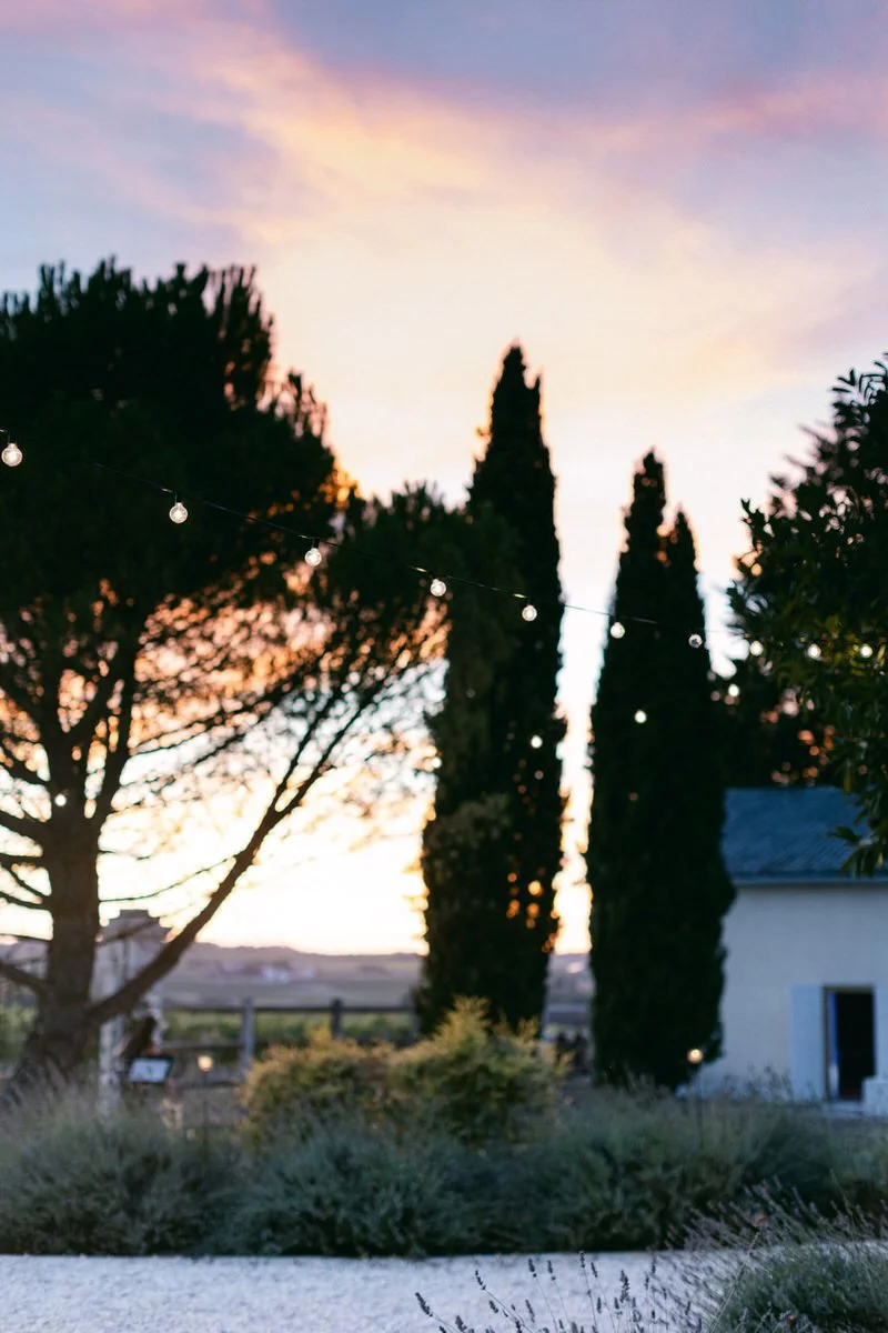 sunset in Charente