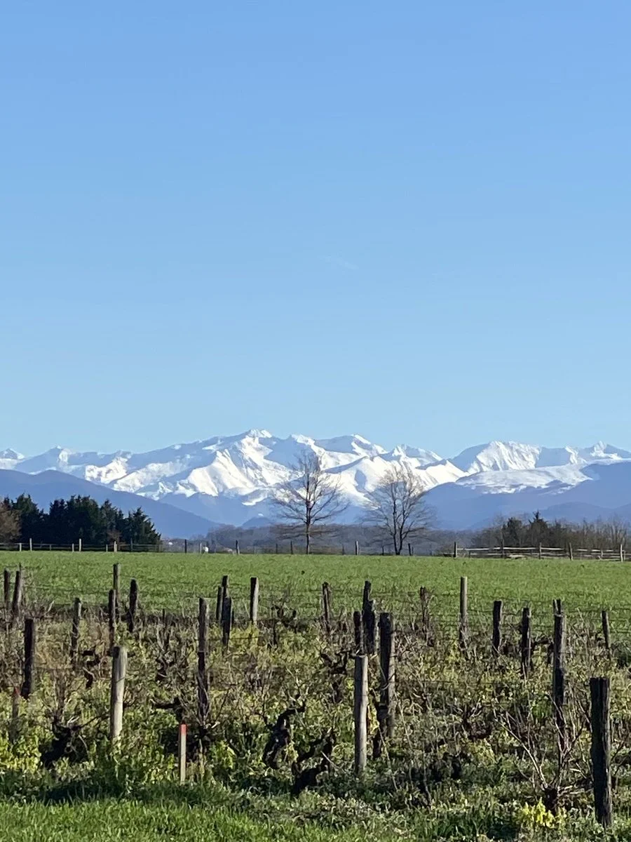 occitanie-wedding-photographer.jpeg
