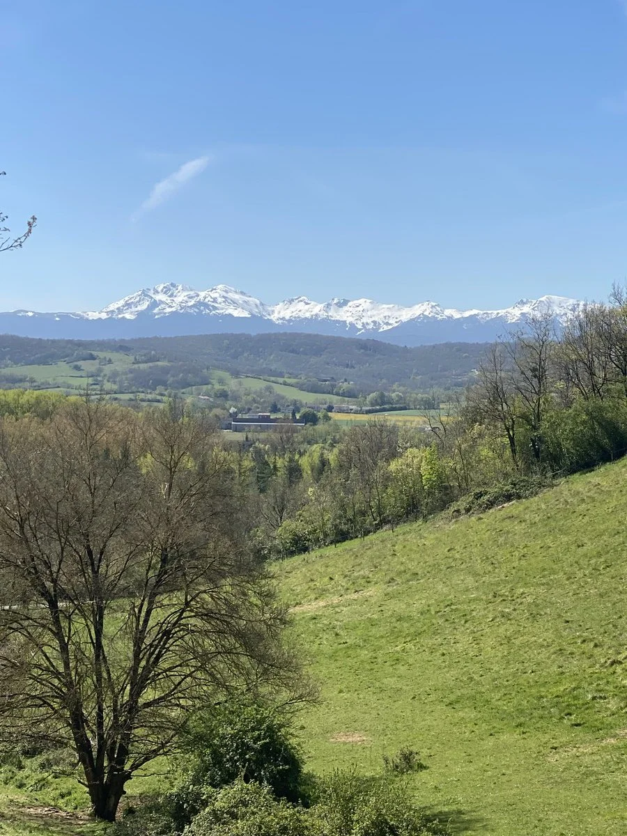 Green countryside landscape in the French Basque Country