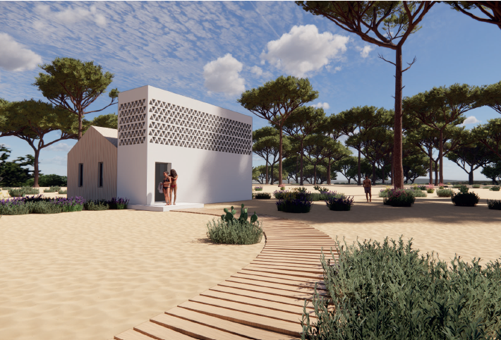 SUITE STANDARD_1.png