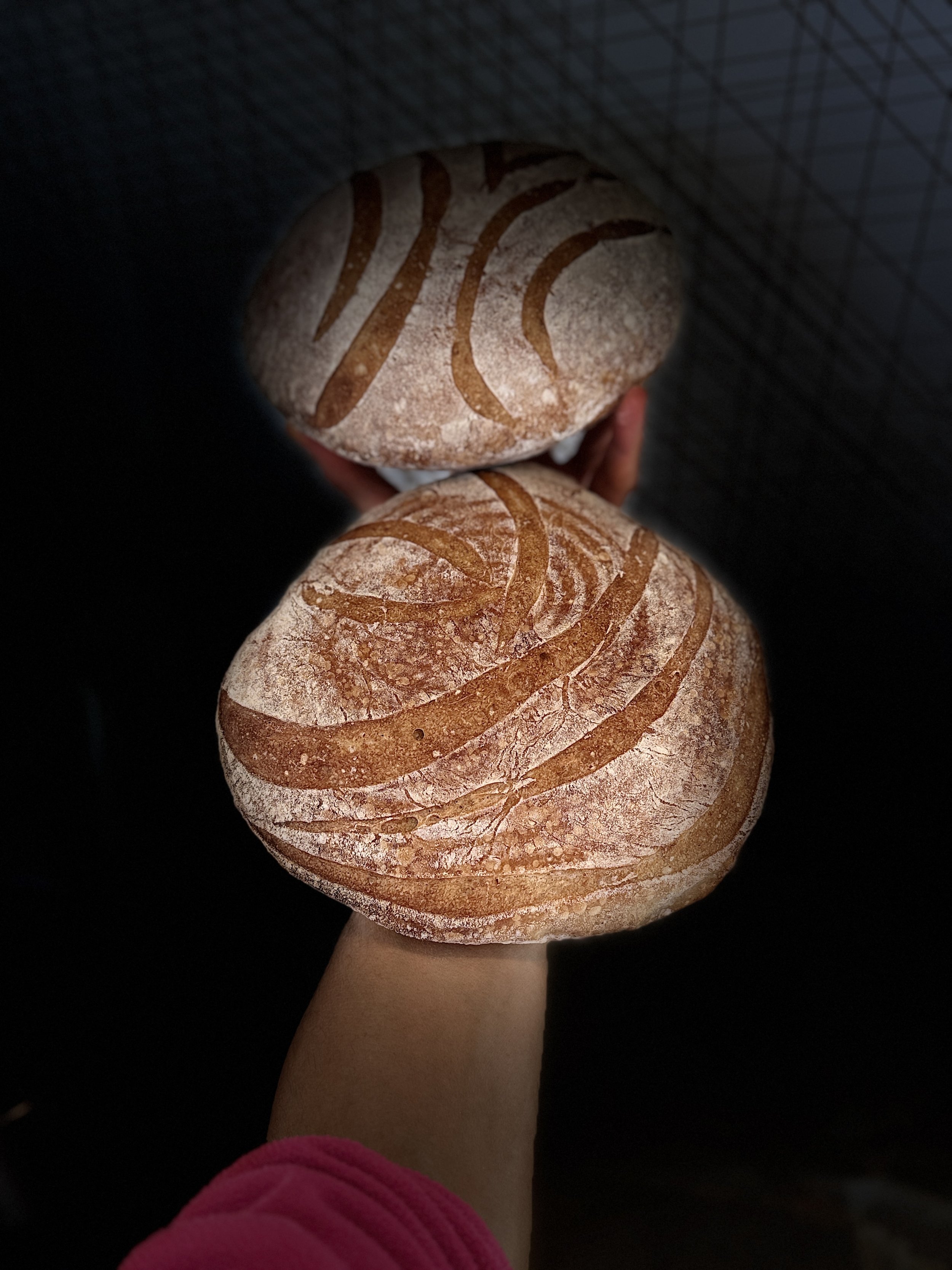 Pane con lievito madre licoli