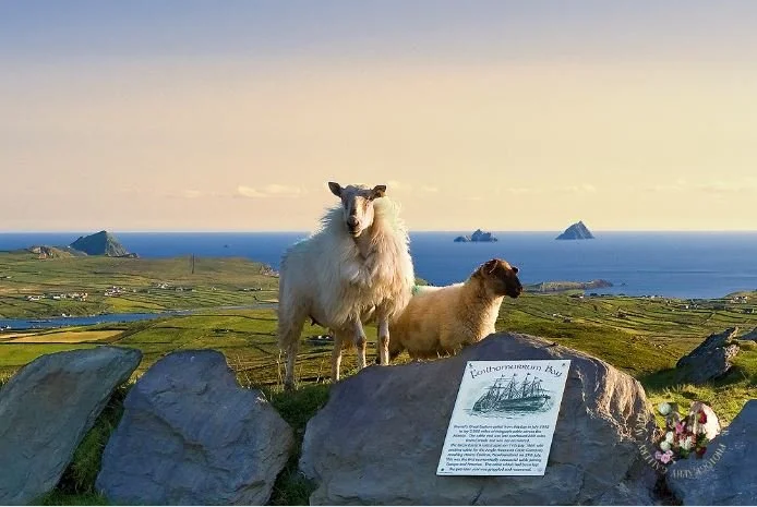 🌊✨ Few views compare to this&hellip; standing on Geokaun Mountain with the Skelligs rising out of the Atlantic.

This is where history, landscape, and legend meet. The summit is fully accessible by car 🚗, open 24/7 📸, with tickets available anytim