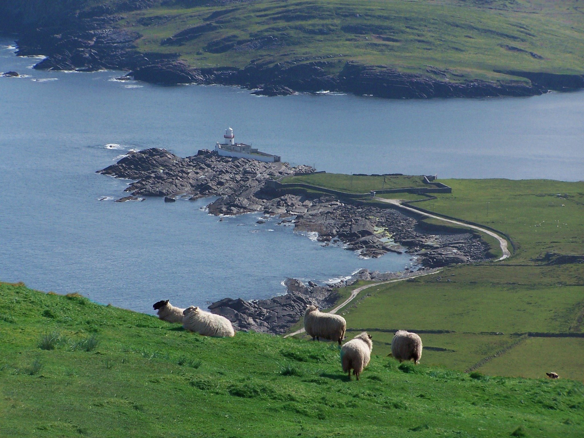 🐑 There&rsquo;s nowhere quite like Geokaun Mountain &amp; Cliffs. From the sheep grazing on the hills to Valentia Island Lighthouse watching over the Atlantic, this is Ireland at her wildest 💚🌊

🕓 Open 24/7, year-round
🎟️ Tickets available any t