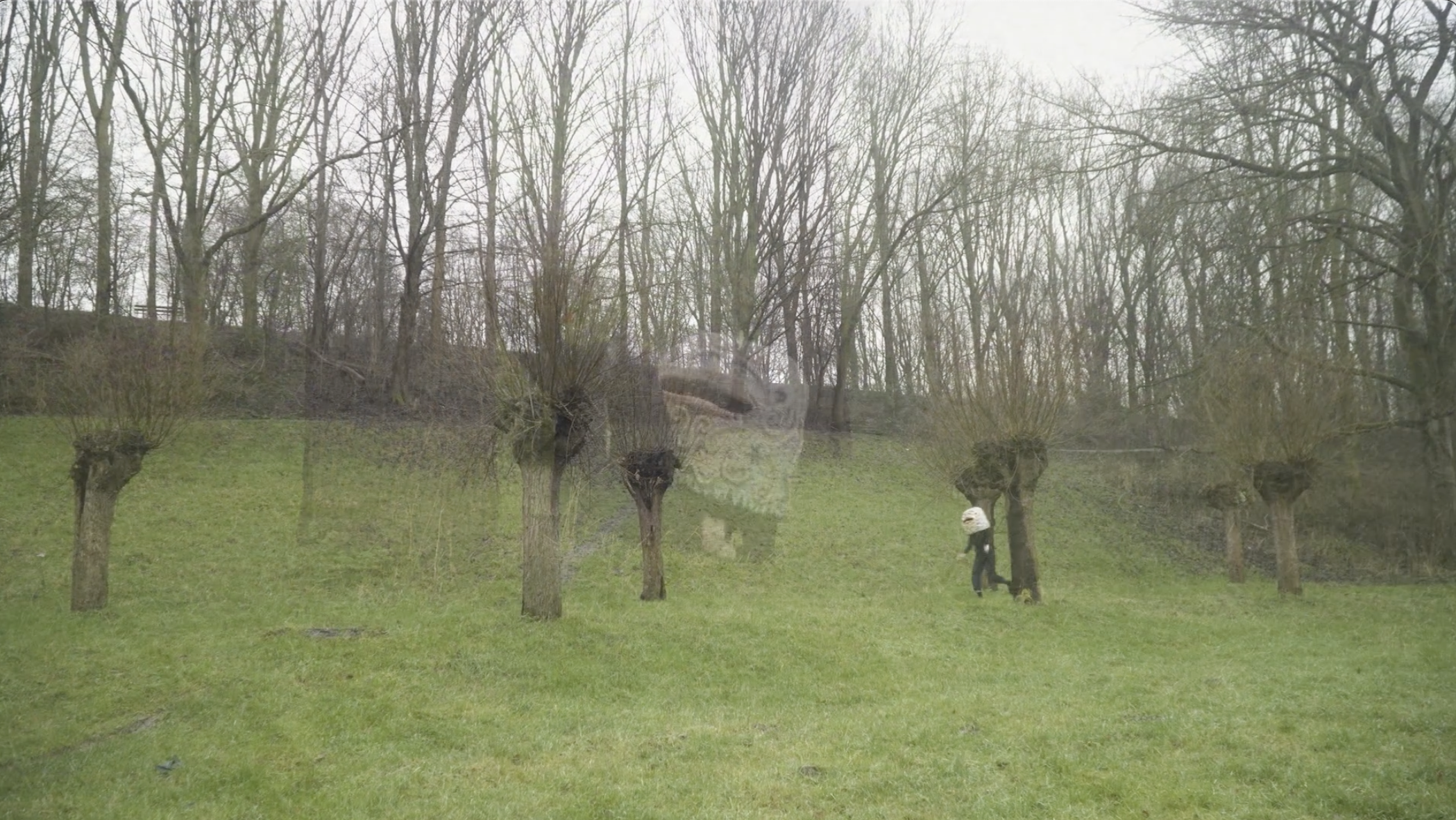 Screenshot 2025-11-23 at 14.51.52.png