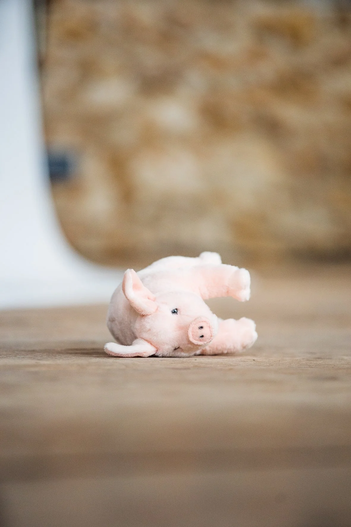 Commande pour Socialter - 1 Août 2022