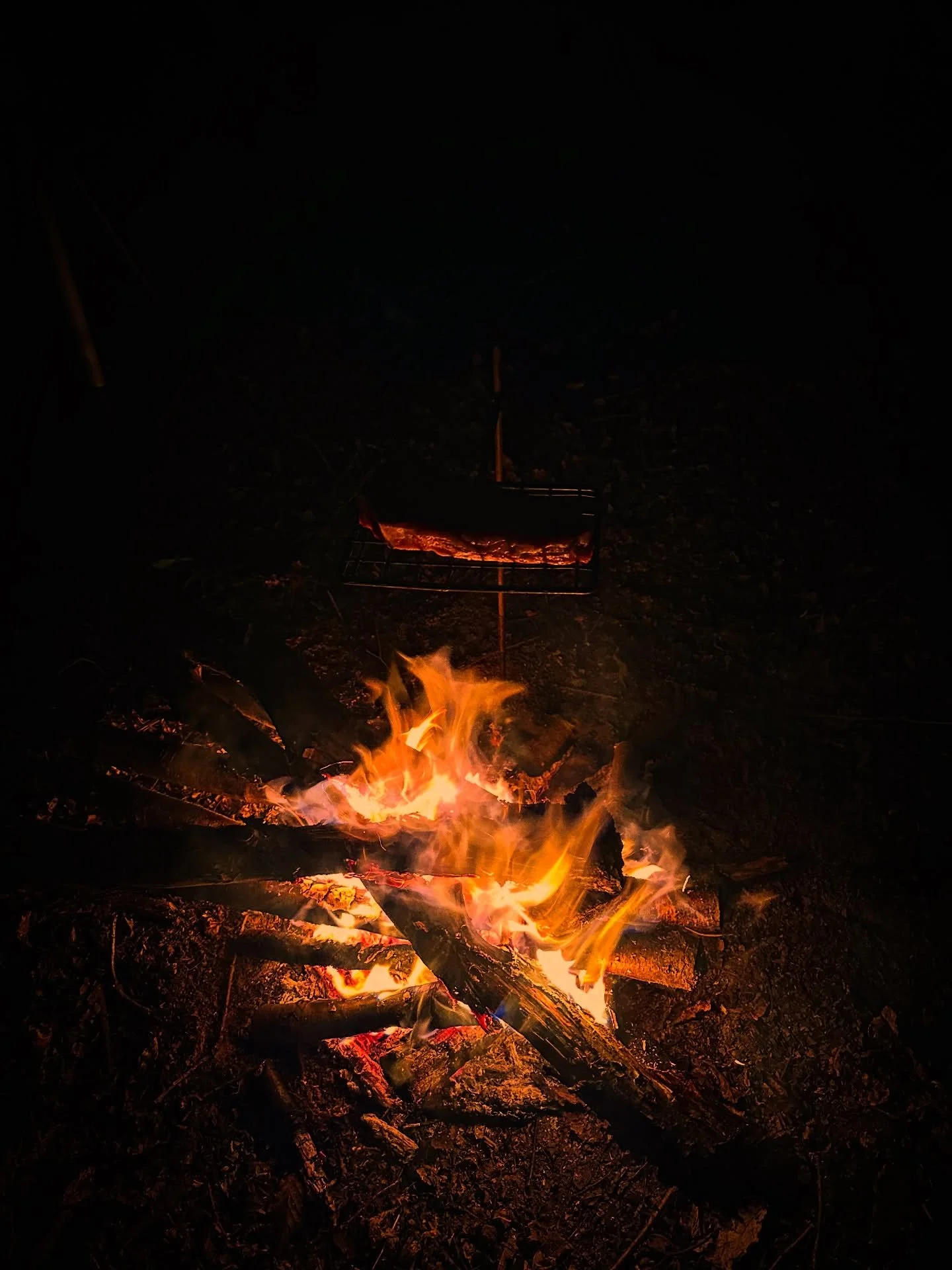 One of the most simple pleasures in life is cooking food over fire. Humans have been doing it for thousands of years and the food probably tastes as good now as it did then. 
.
.
.
#food #fire #lifestyle #wilderness #forest