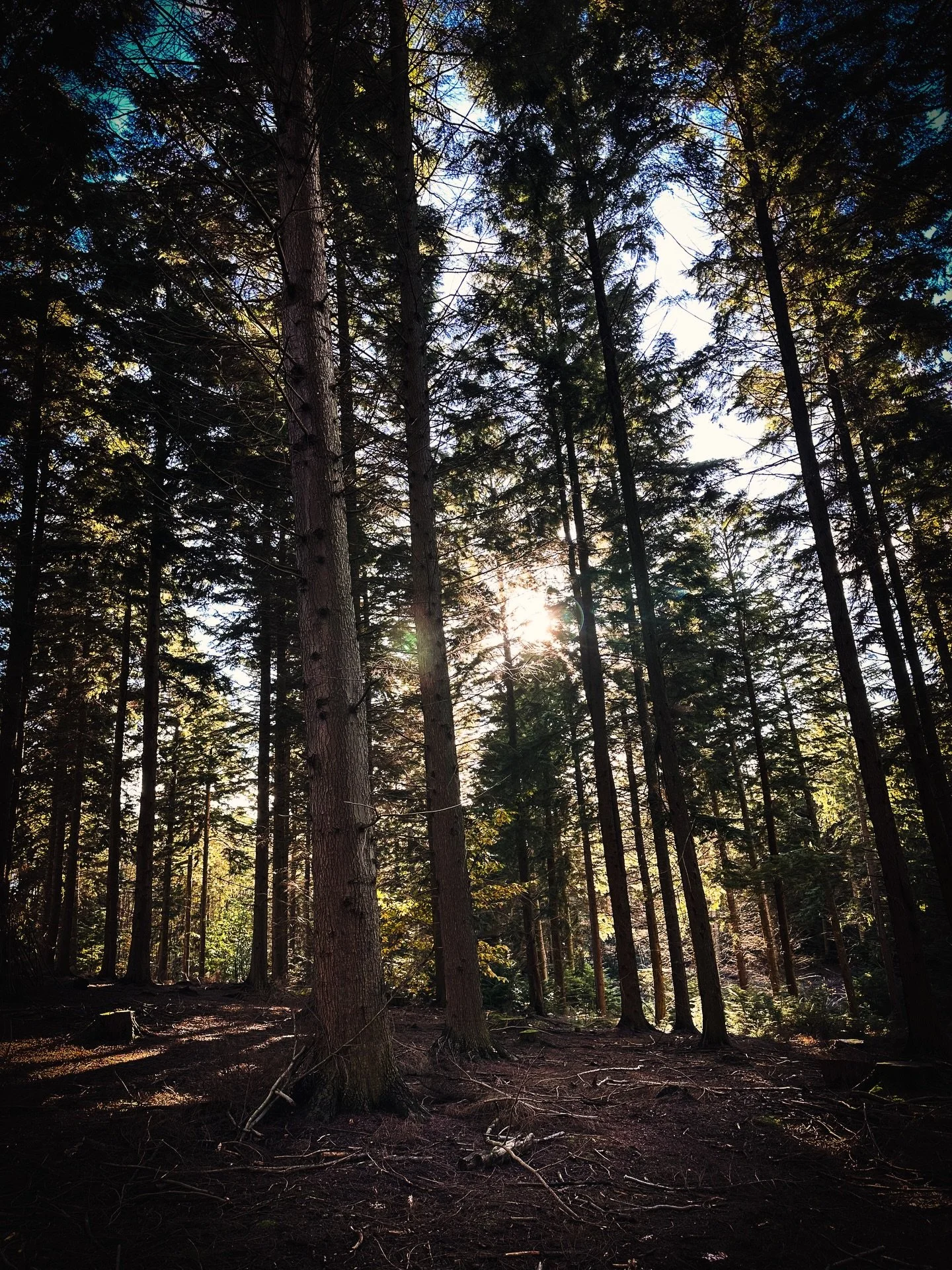 Back where it makes sense.
Surrounded by trees, dirt under my boots.
The forest doesn&rsquo;t rush&mdash;and neither do I 🌲🔥