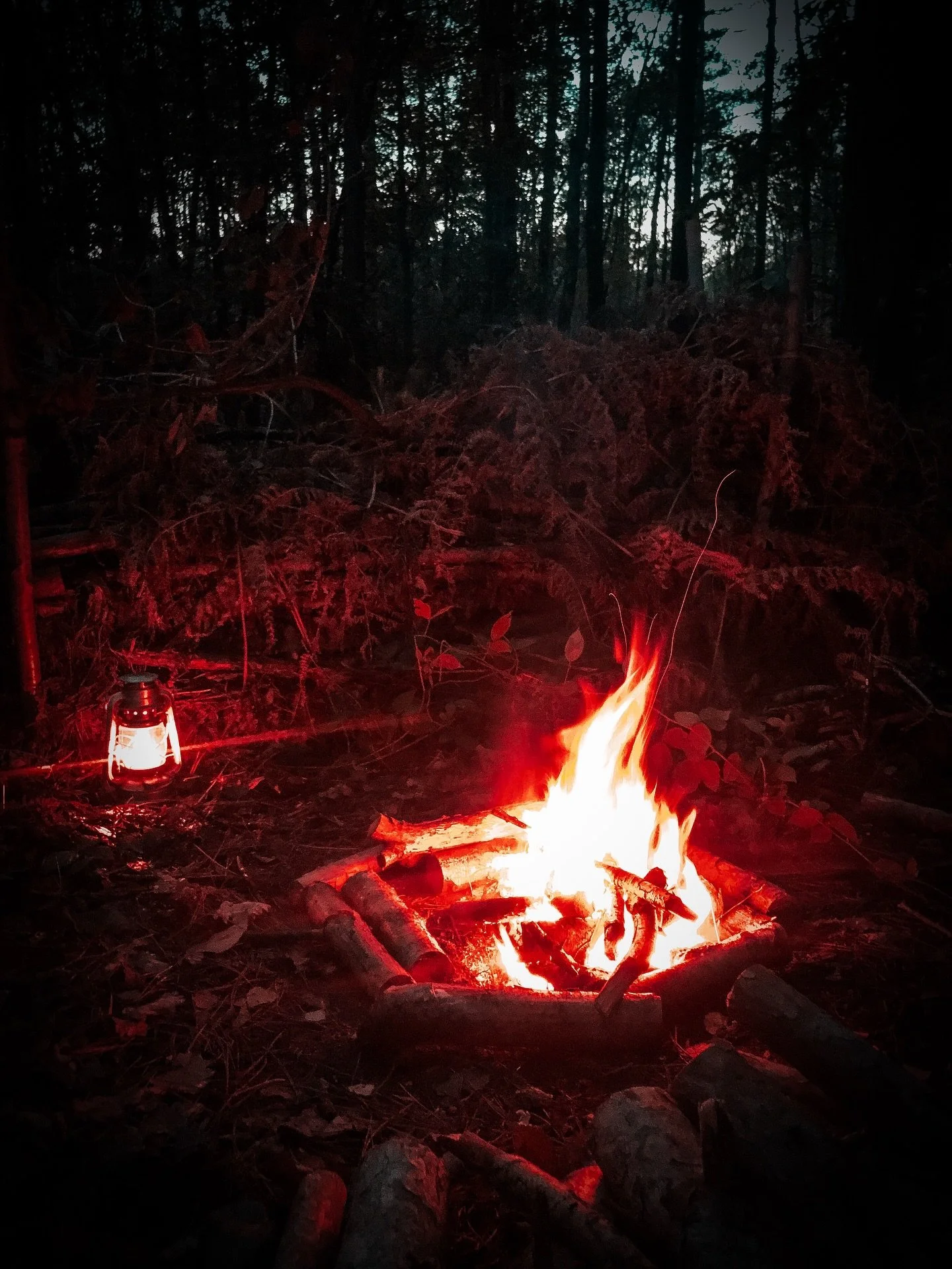 Before kitchens.
Before electricity.
Before the world got loud.

There was fire in the forest.

Meat on flame. Smoke in your hair. Hands blackened by wood and ash. Instinct. Hunger. Heat.

This isn&rsquo;t cooking.
It&rsquo;s returning.

#wildmancook