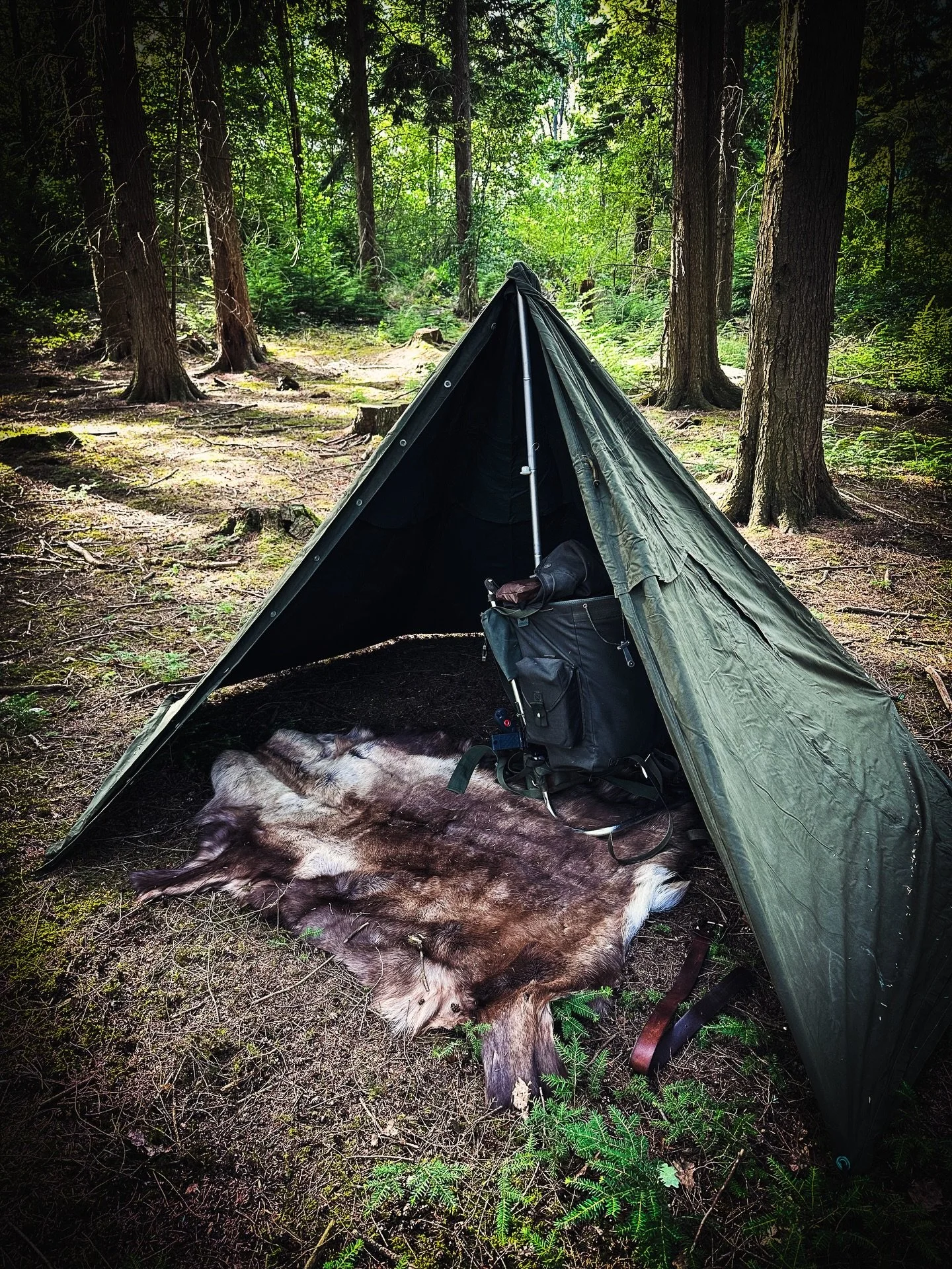 Home from home 🏕️⛰️🪵🪓🔥