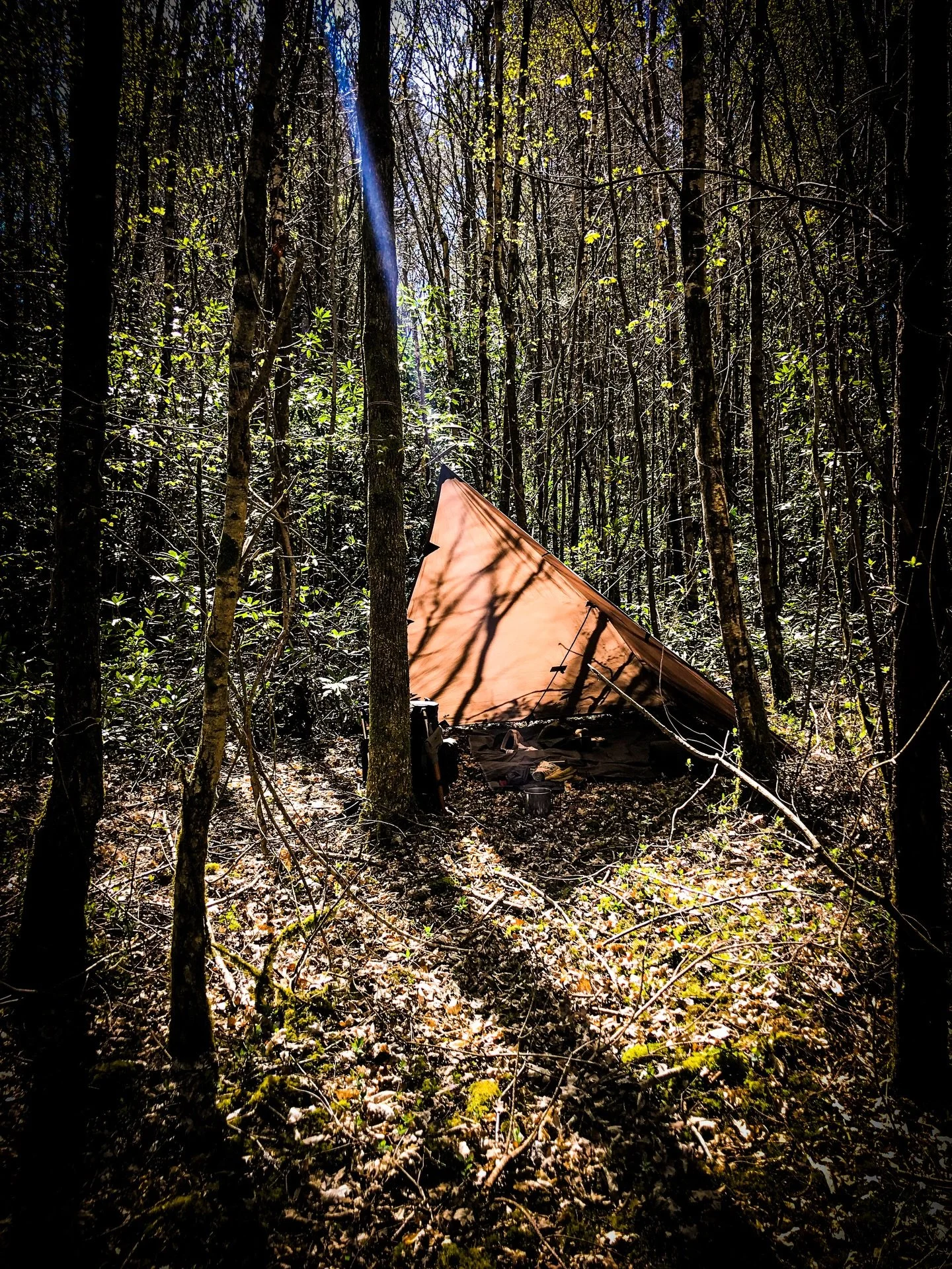 Roughing it with a classic plough point tarp setup. The wood ants are getting active so I think it&rsquo;s time to break out hammock and get off the floor. I hope everyone has had a fantastic weekend 🙌🏼. 
.
.
.
#wildcamp #ddtarps #outdoorlife