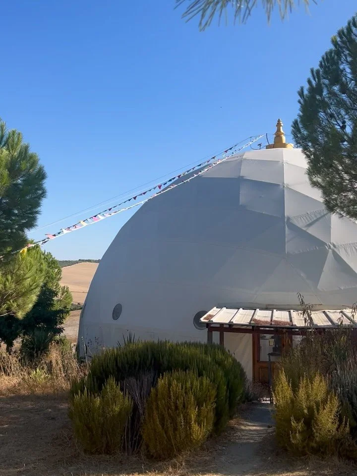 Softly landing after another magical week back at @suryalilayoga kicking off the 200hr @moreyoga_ YTT with @luana.galoni and @victoriathomasosteoyoga 🌞✨ 

What a special week it was ~ connection, community and wholeness at its heart 💛 🌙 

The powe