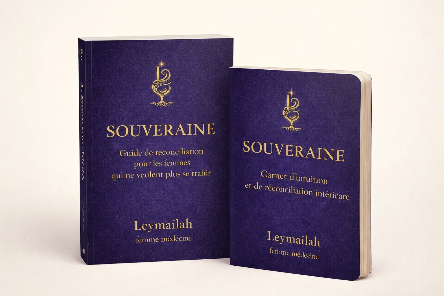SOUVERAINE Guide Digital de réconciliation intérieure pour les femmes qui décident de ne plus se trahir + Carnet d'intuition
