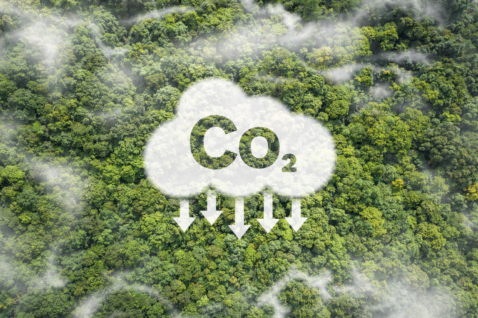 Evaluating the Geological CO₂ Storage Potential in Ireland