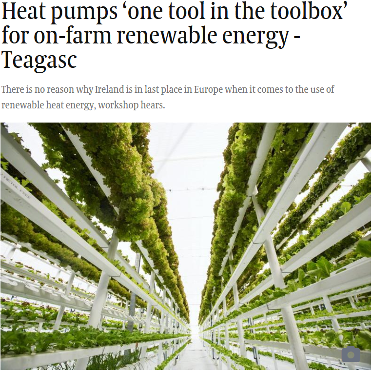 Indoor vertical farm with rows of leafy green vegetables growing under artificial lighting.