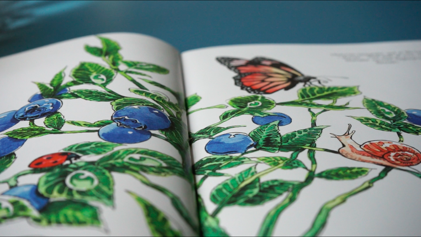 Screenshot 2023-08-21 at 17.40.36.png