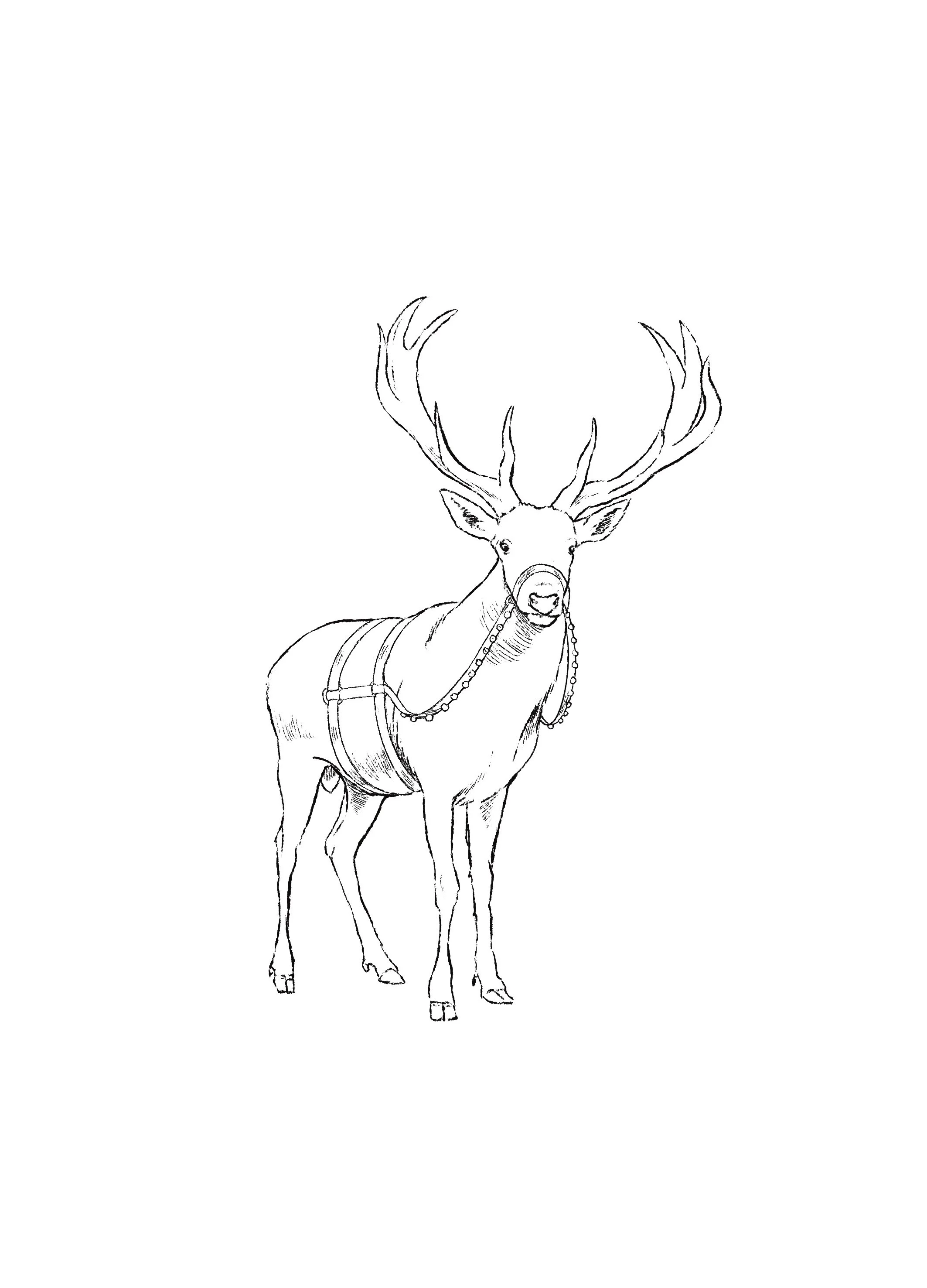 Untitled_Artwork 74.jpg