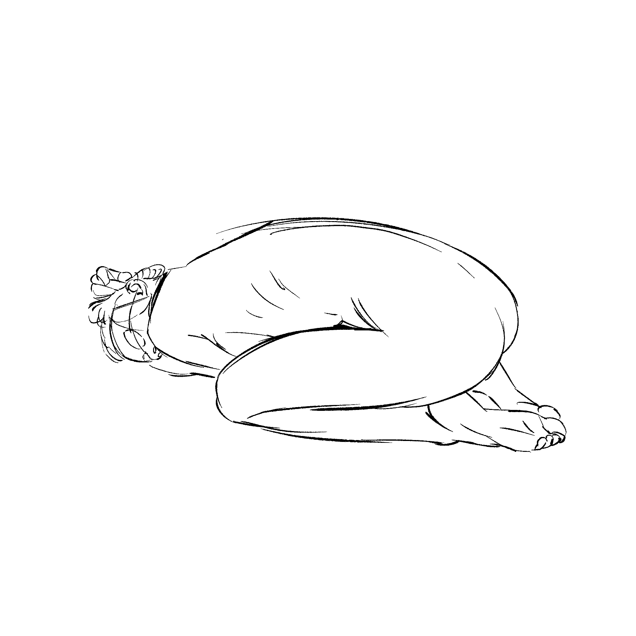 Untitled_Artwork 6.png