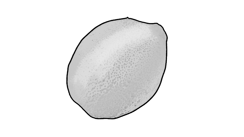 A digitally illustrated lemon with a textured surface, shown from a slightly tilted angle.
