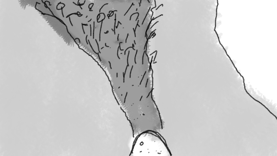 A black-and-white sketch of a tree trunk and part of a foot at the bottom of the image.