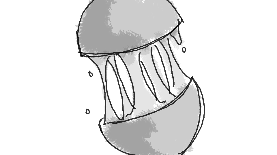 A monochrome illustration of a jellyfish with a bell-shaped body and long dangling tentacles.