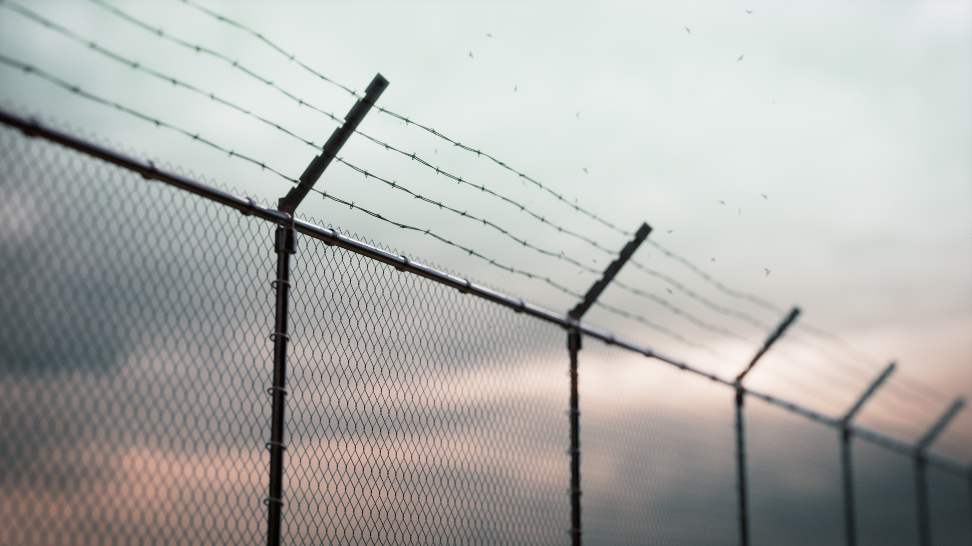 View of a chain-link fence topped with barbed wire against a cloudy sky with birds flying in the background.